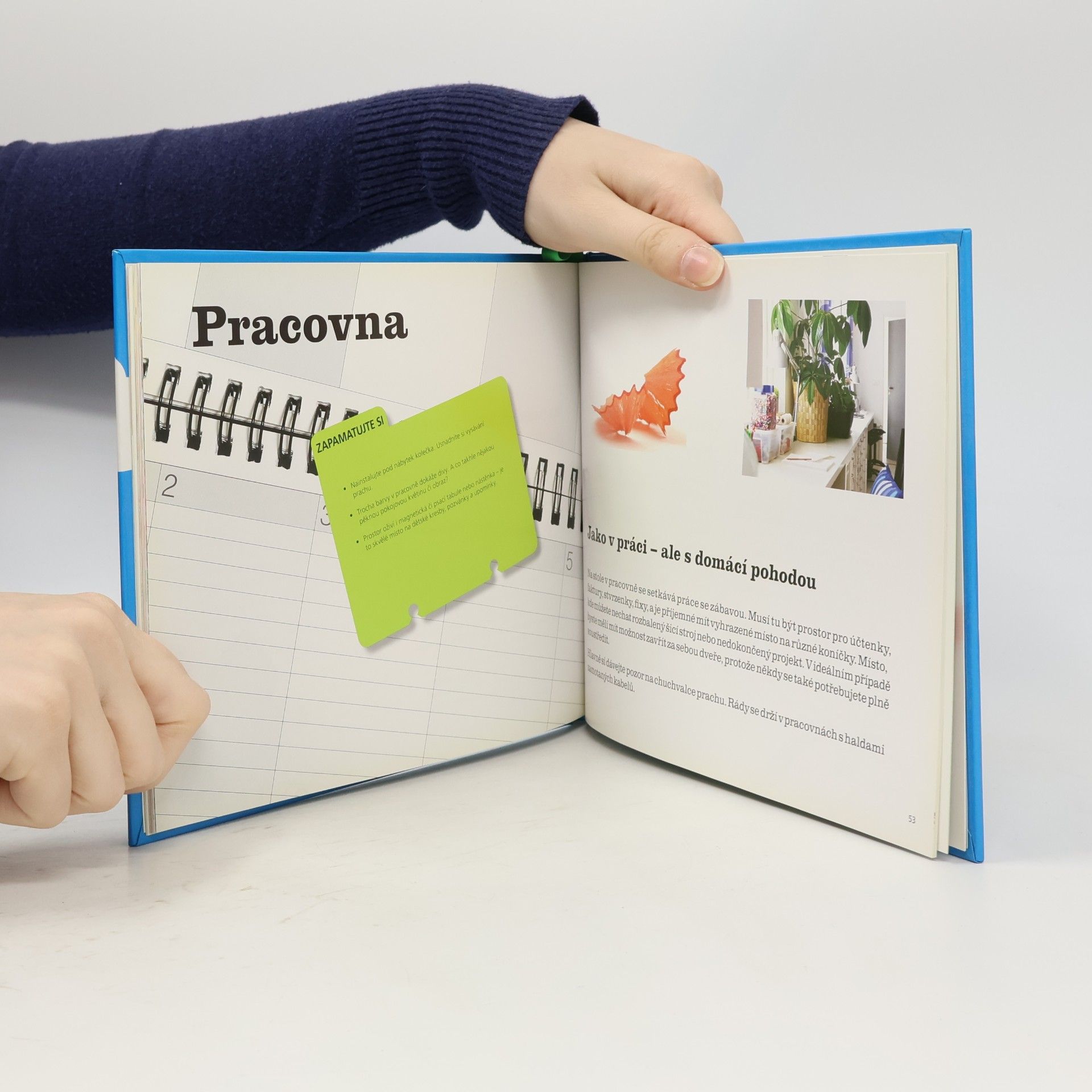 Autorenkollektiv Svabba. Čistý domov