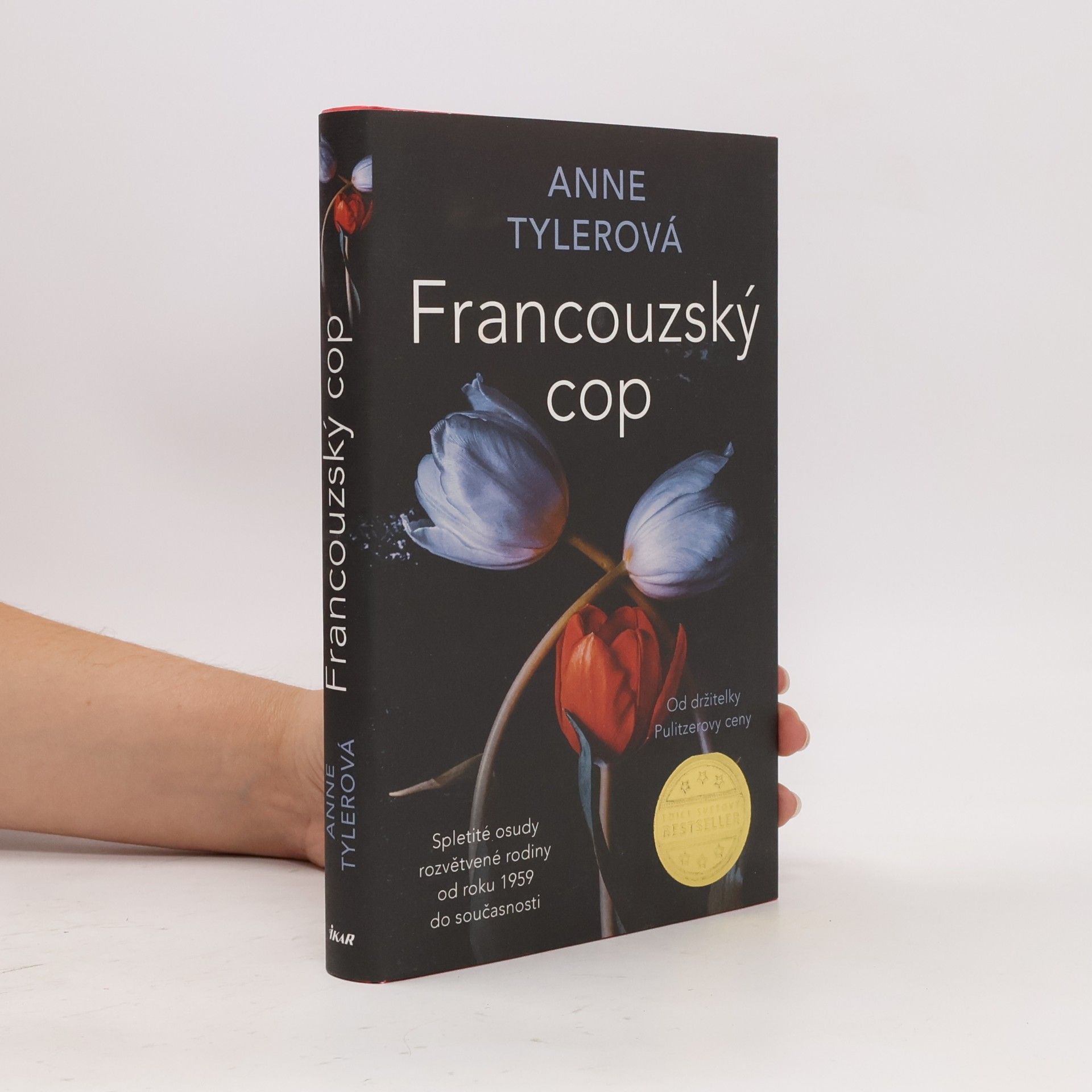Anne Tyler Francouzský cop