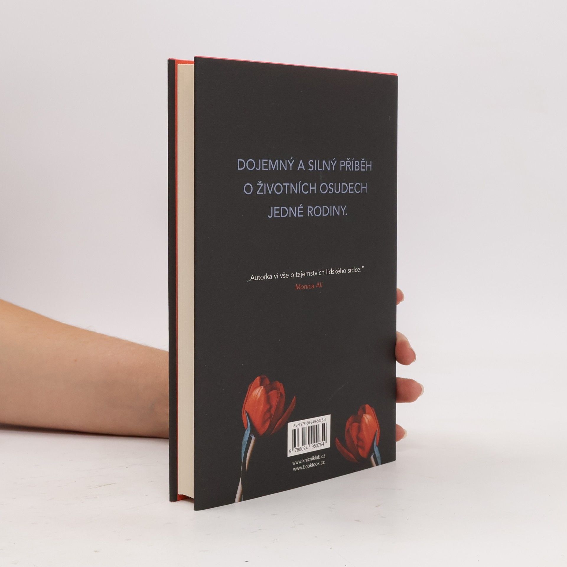 Anne Tyler Francouzský cop