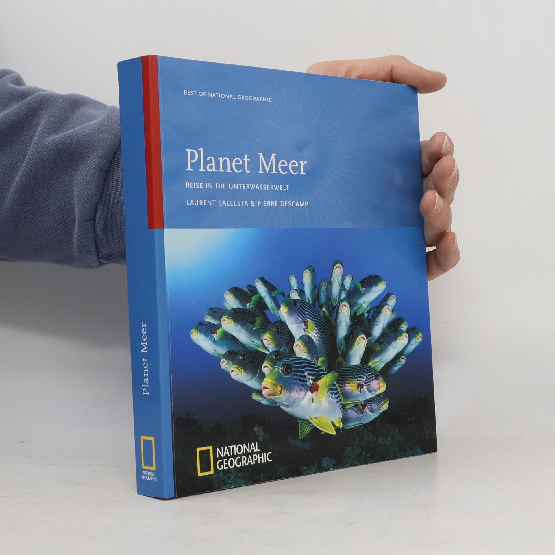 Pierre Descamp Planet Meer. Reise in die Unterwasserwelt