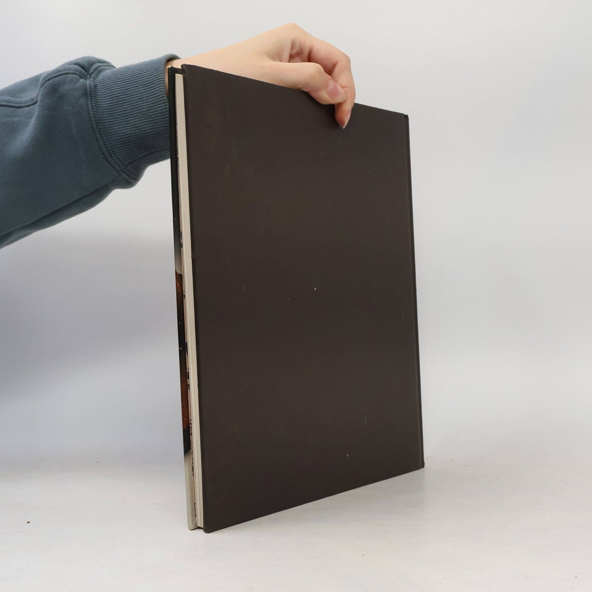 Autorenkollektiv Terrinen, Pasteten und Gelees