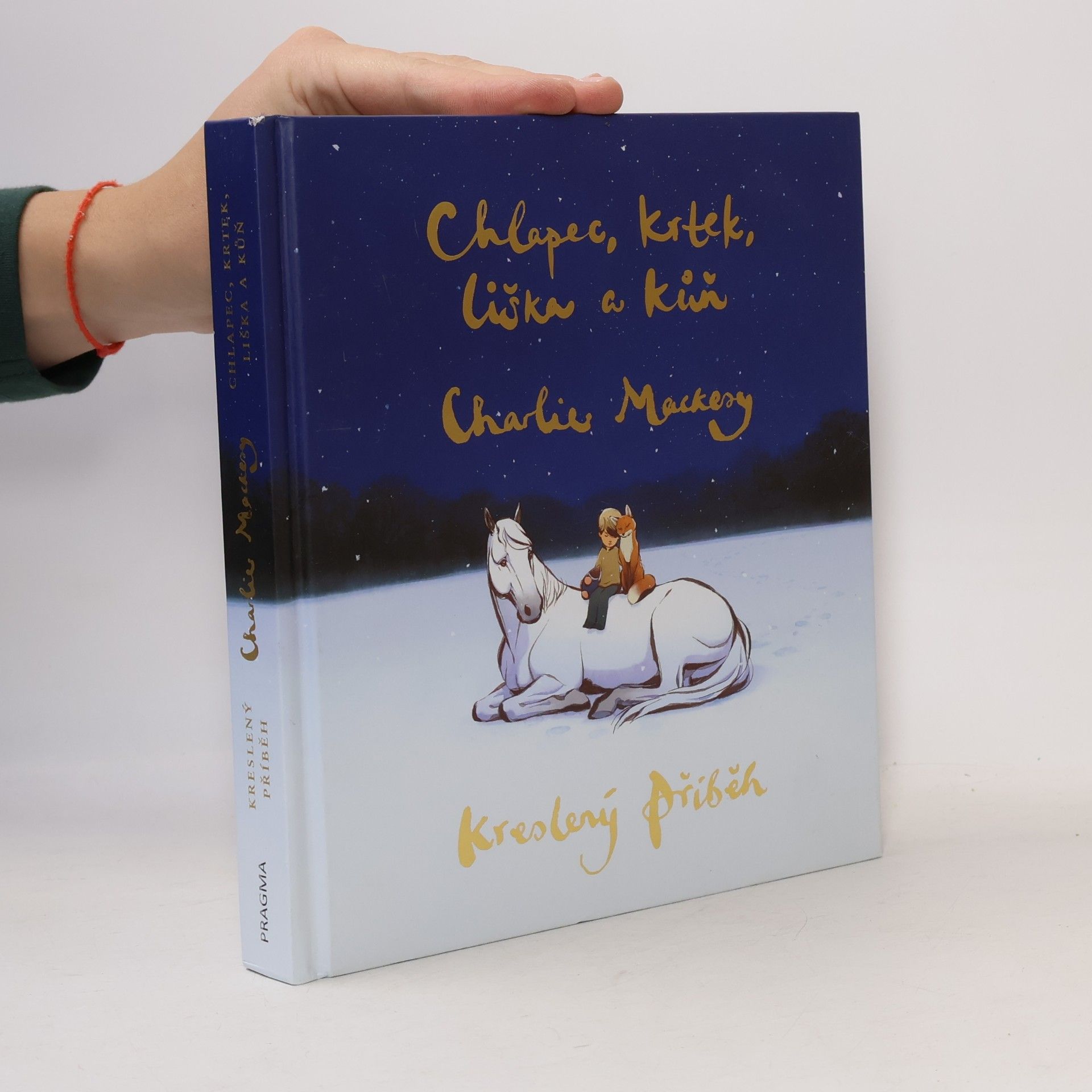 Charlie Mackesy Chlapec, krtek, liška a kůň : kreslený příběh