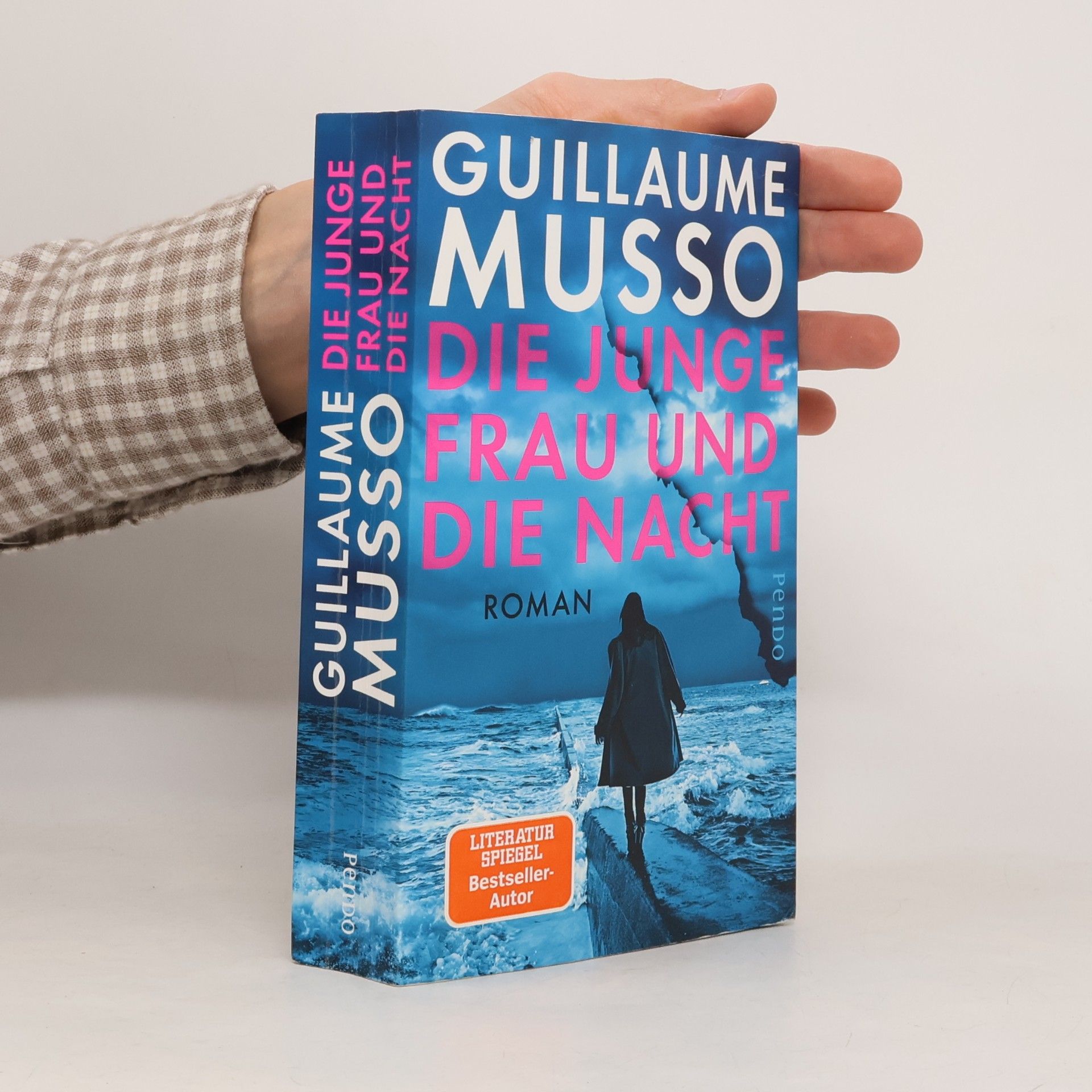 Guillaume Musso Die junge Frau und die Nacht