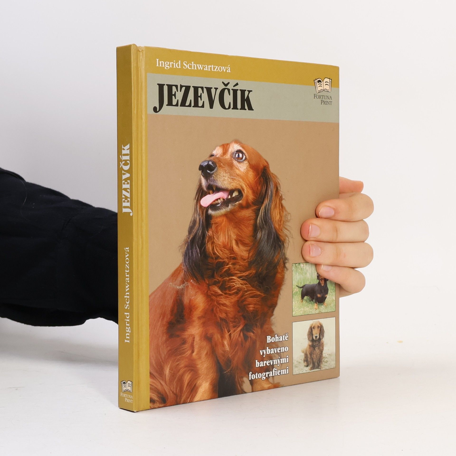 Ingrid Schwartz Jezevčík