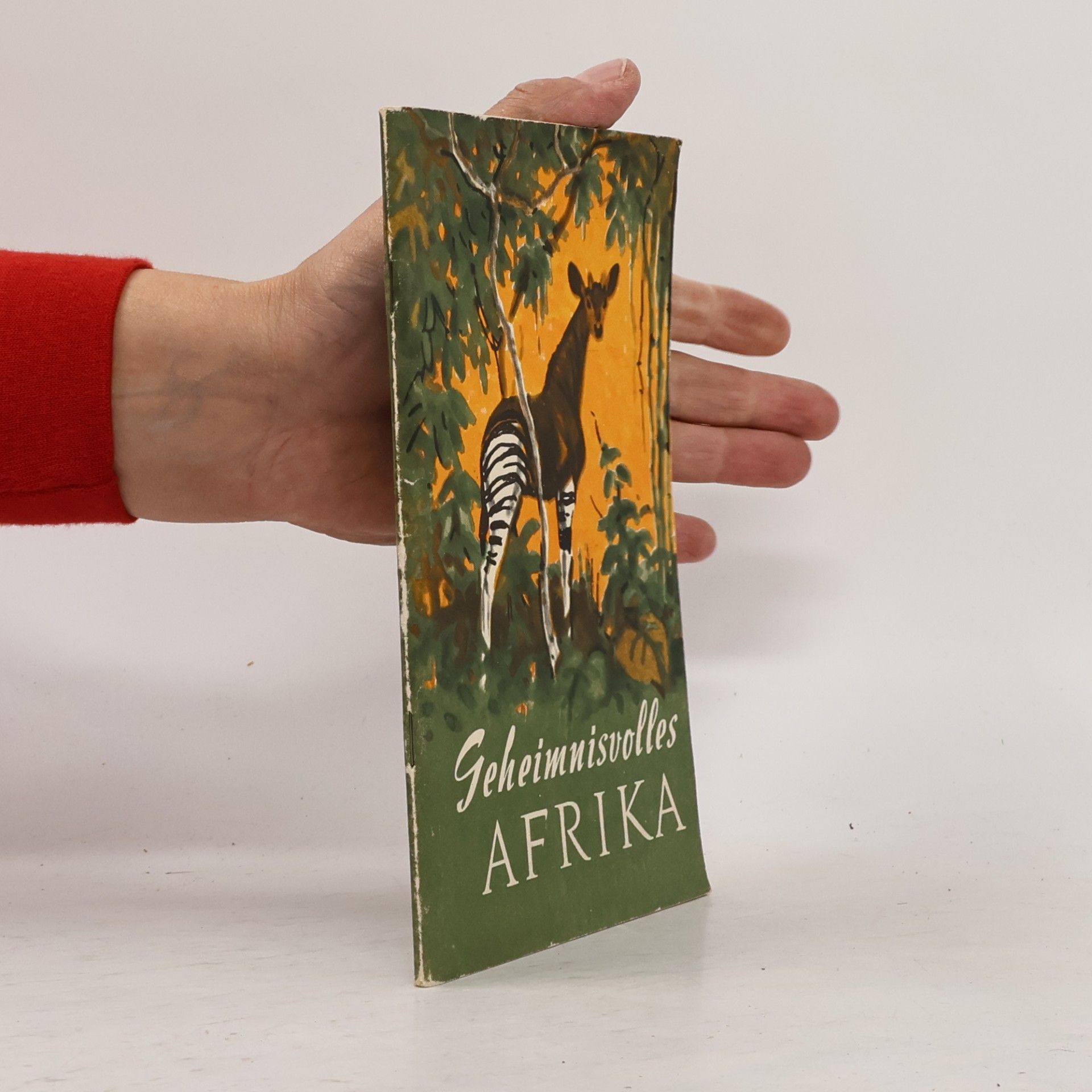 Geheimnisvolles Afrika