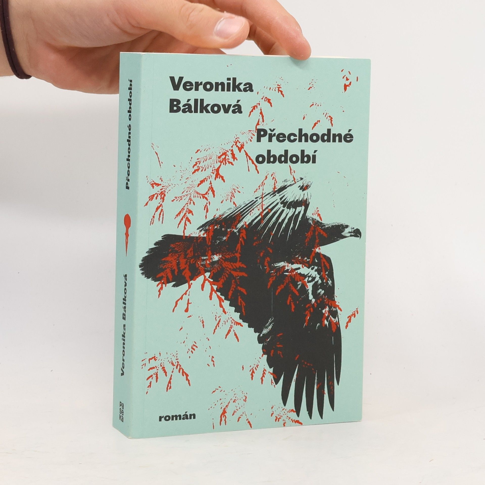 Veronika Bálková Přechodné období