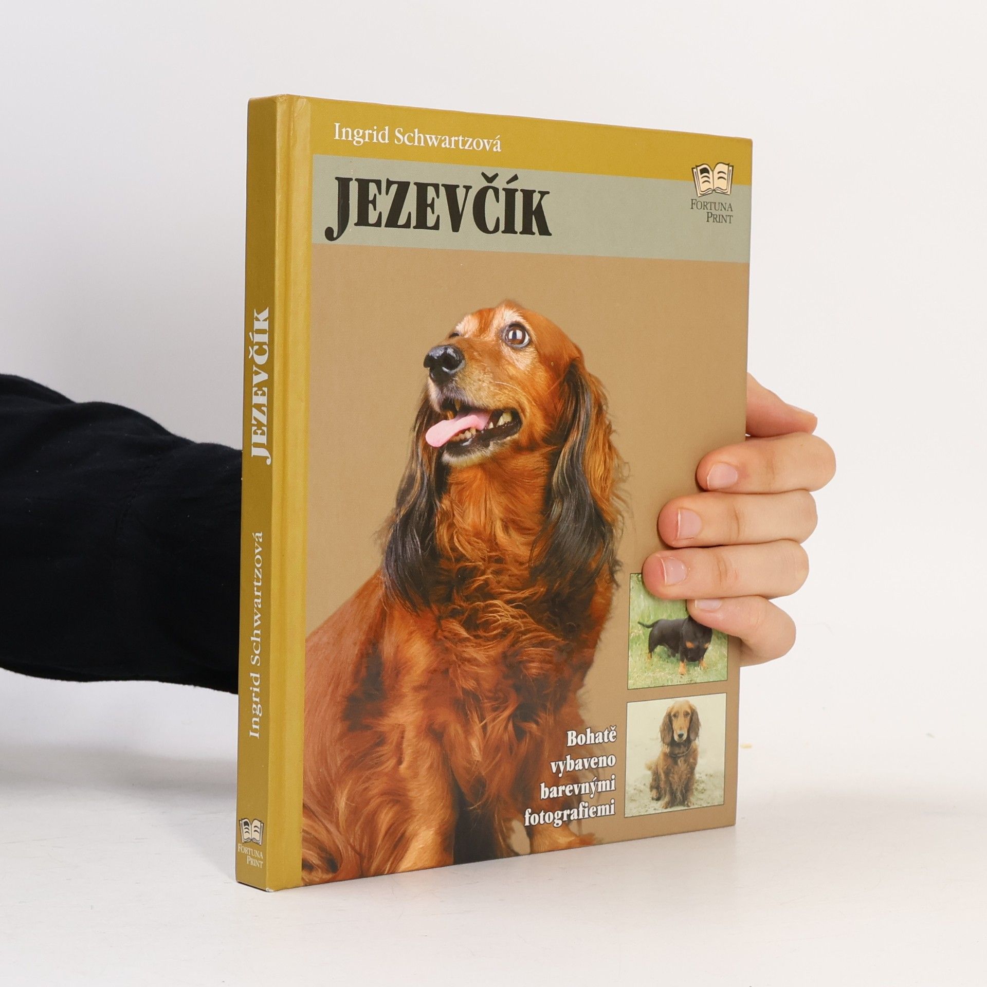 Ingrid Schwartz Jezevčík
