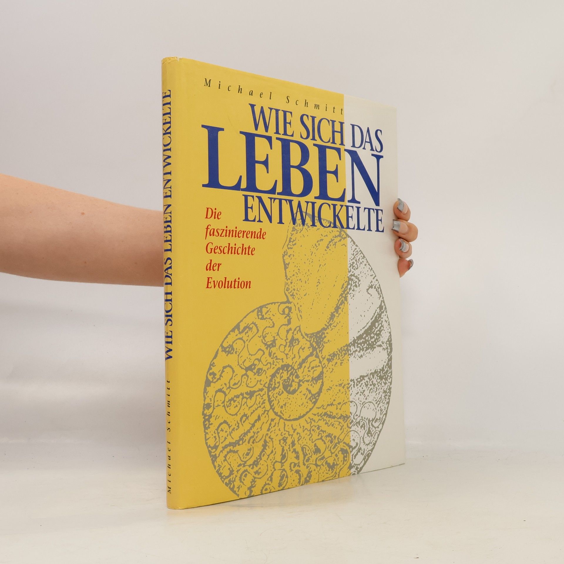 Michael Schmitt Wie dich das Leben entwickelte