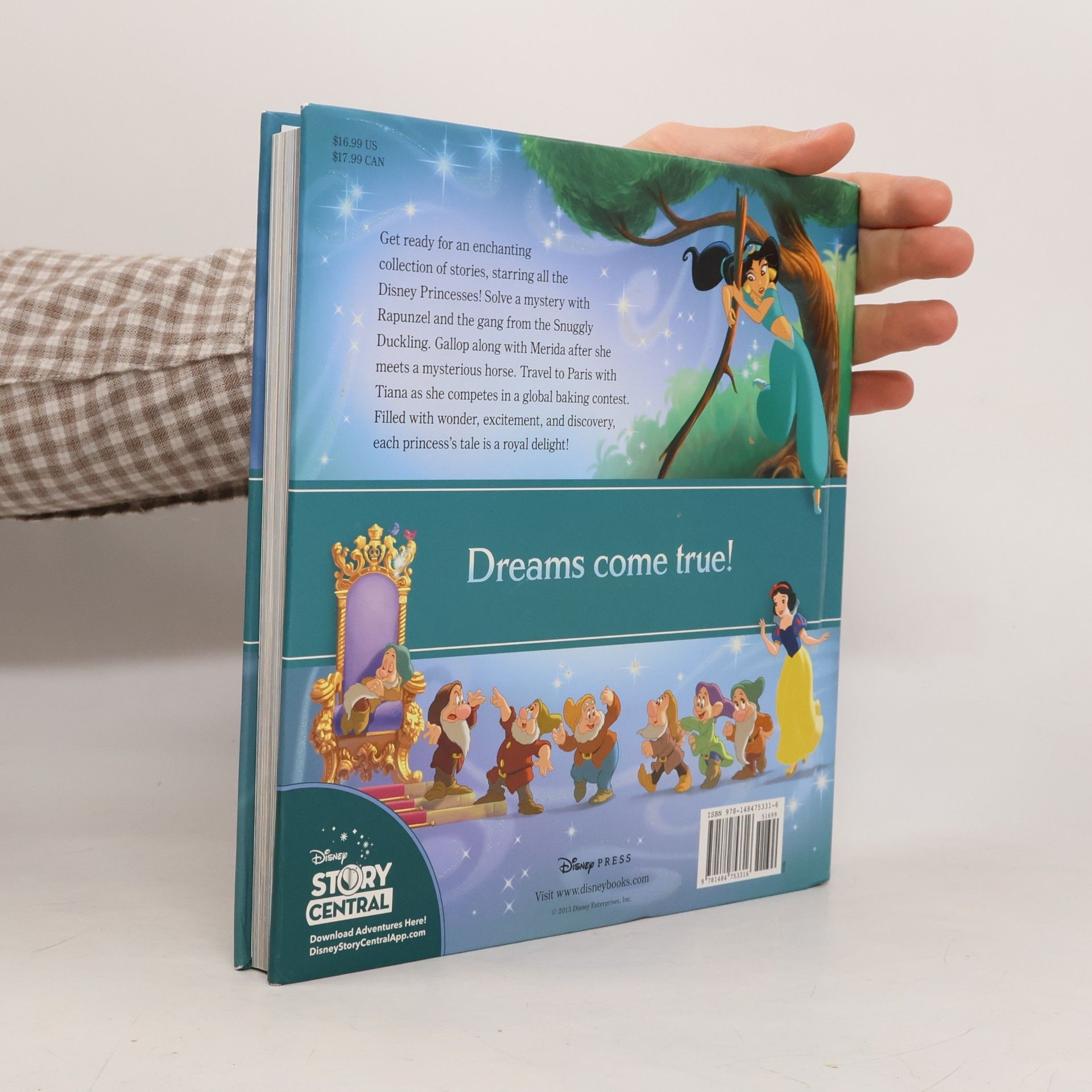 Walt Disney Company Disney Princess Storybook Collection Special Edition