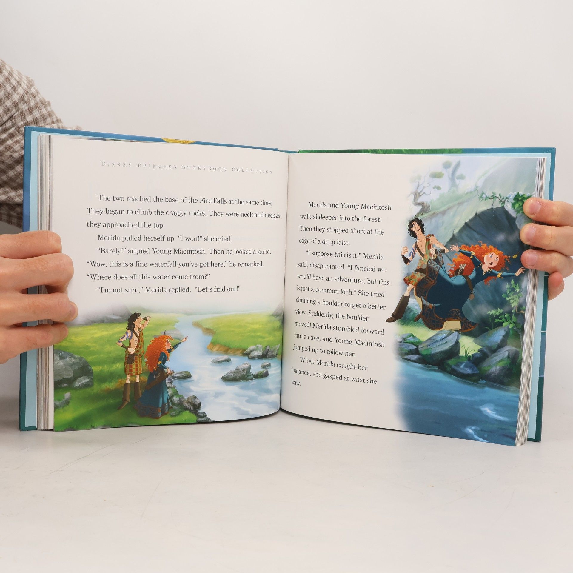 Walt Disney Company Disney Princess Storybook Collection Special Edition
