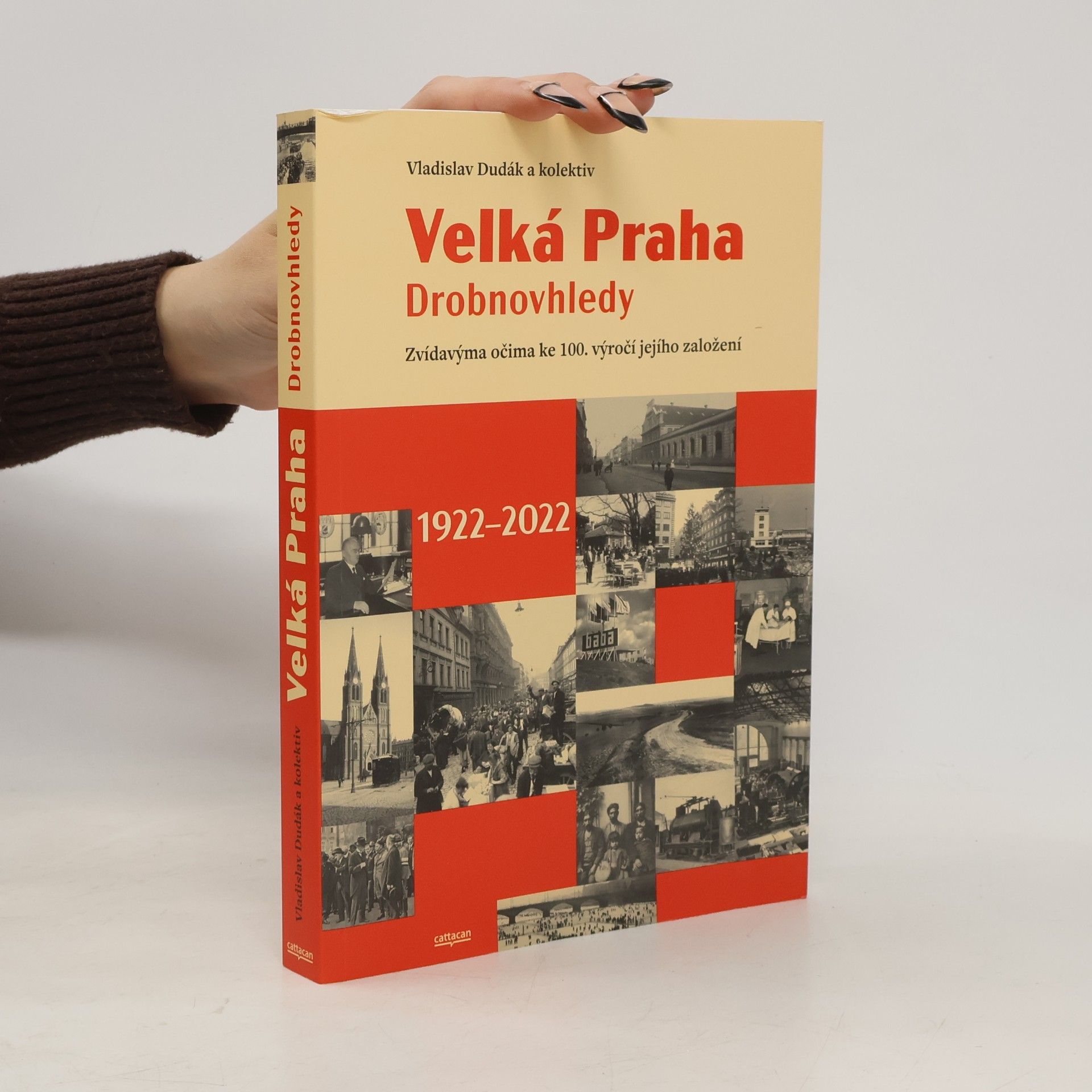 Various authors Velká Praha: drobnovhledy
