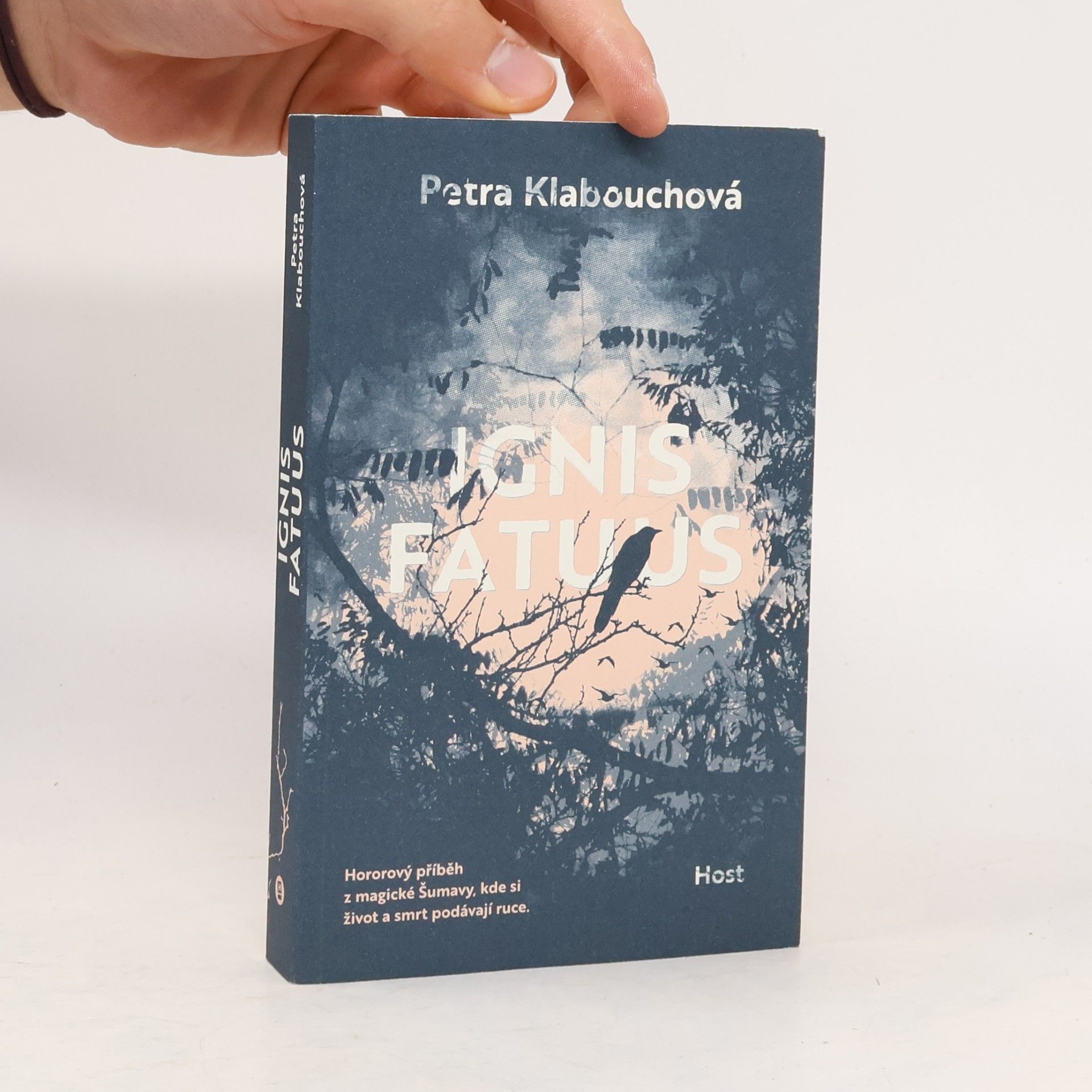 Petra Klabouchová Ignis fatuus