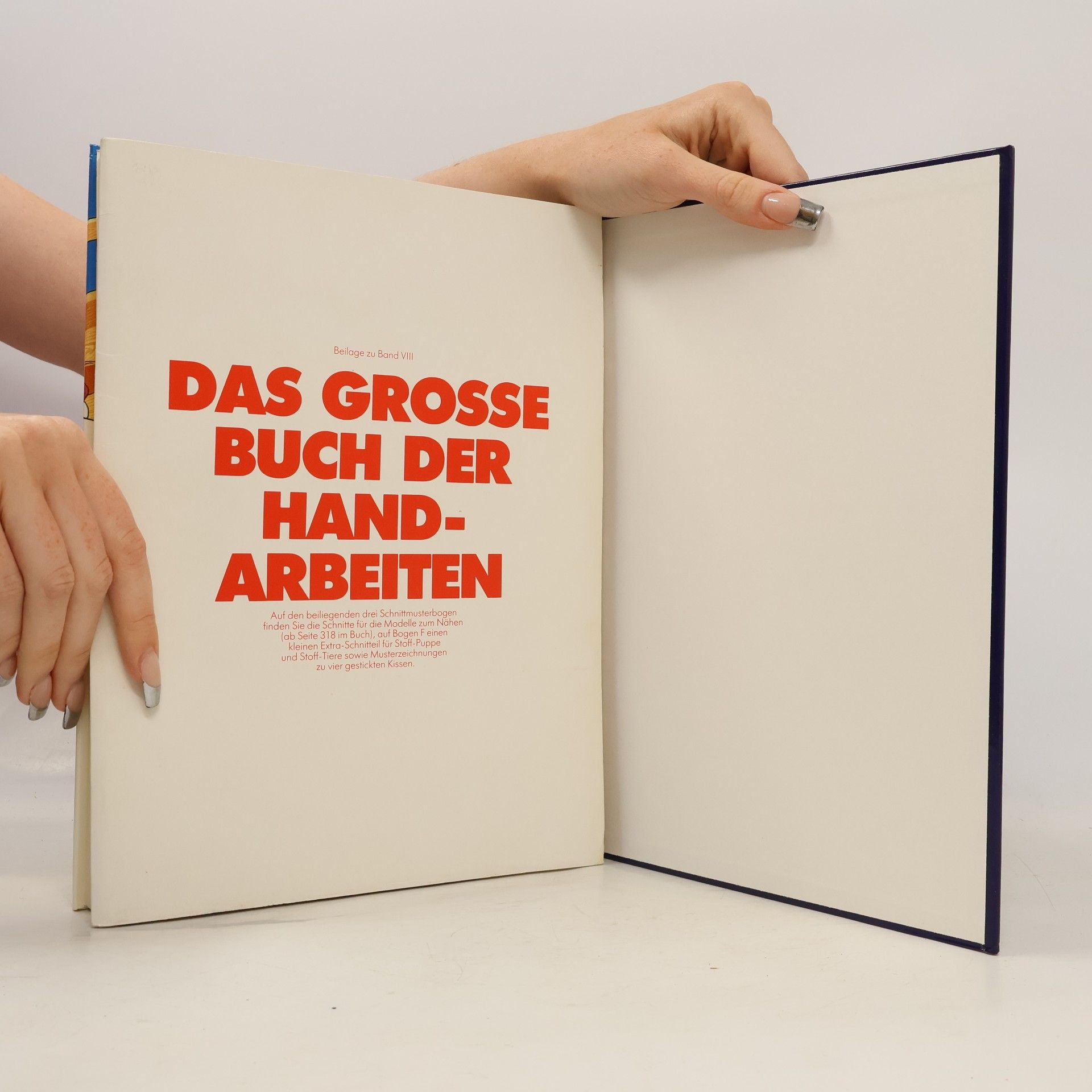 Autorenkollektiv Das grosse Buch der Handarbeiten VIII