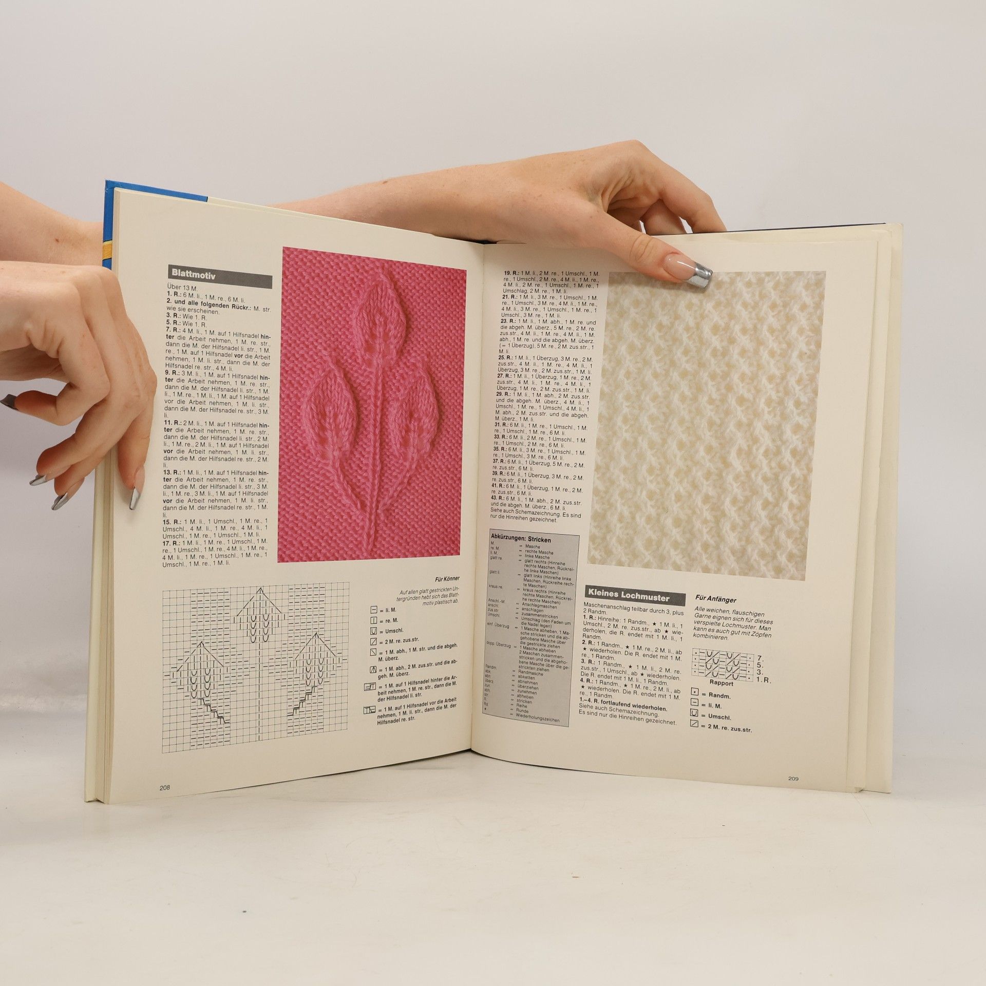 Autorenkollektiv Das grosse Buch der Handarbeiten VIII