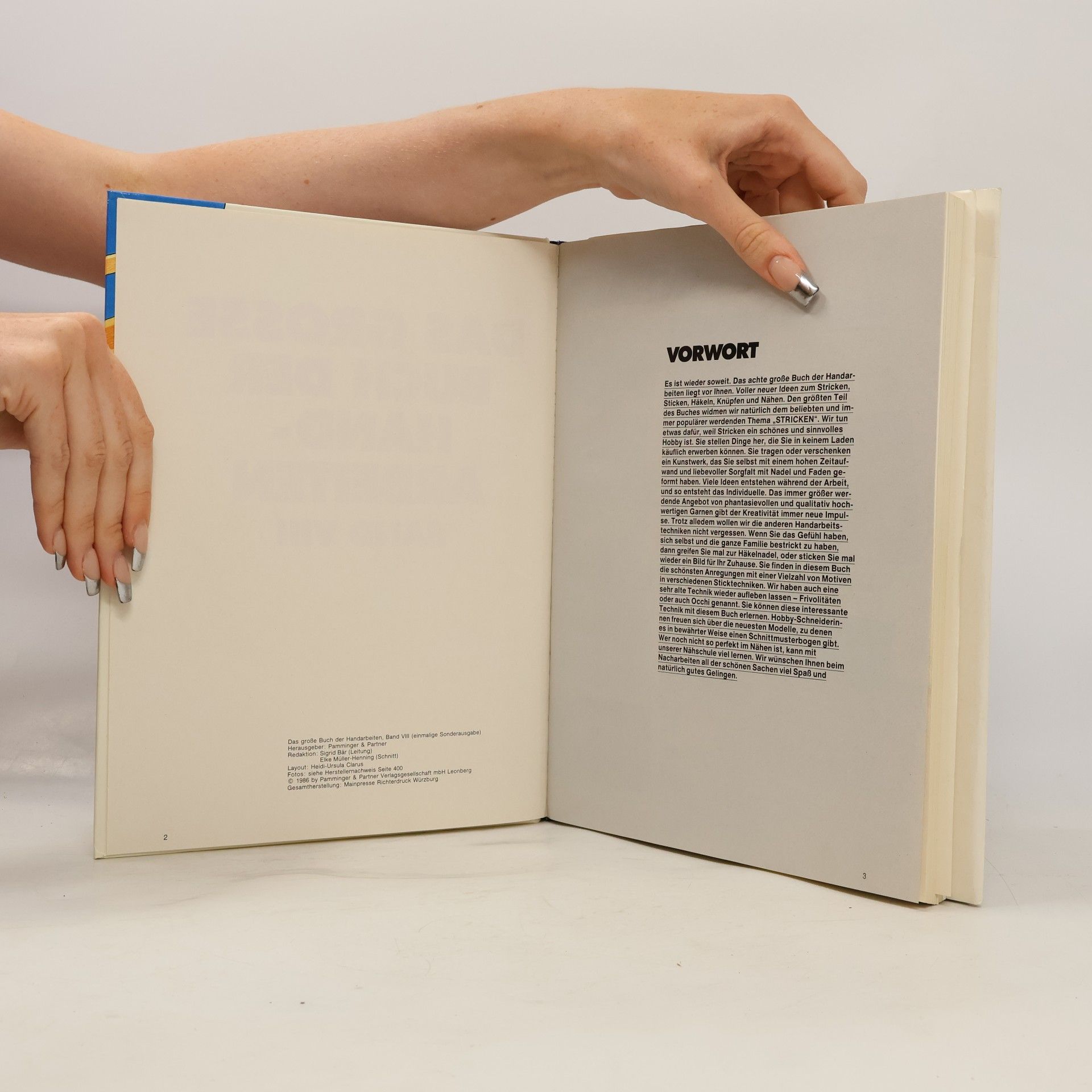 Autorenkollektiv Das grosse Buch der Handarbeiten VIII