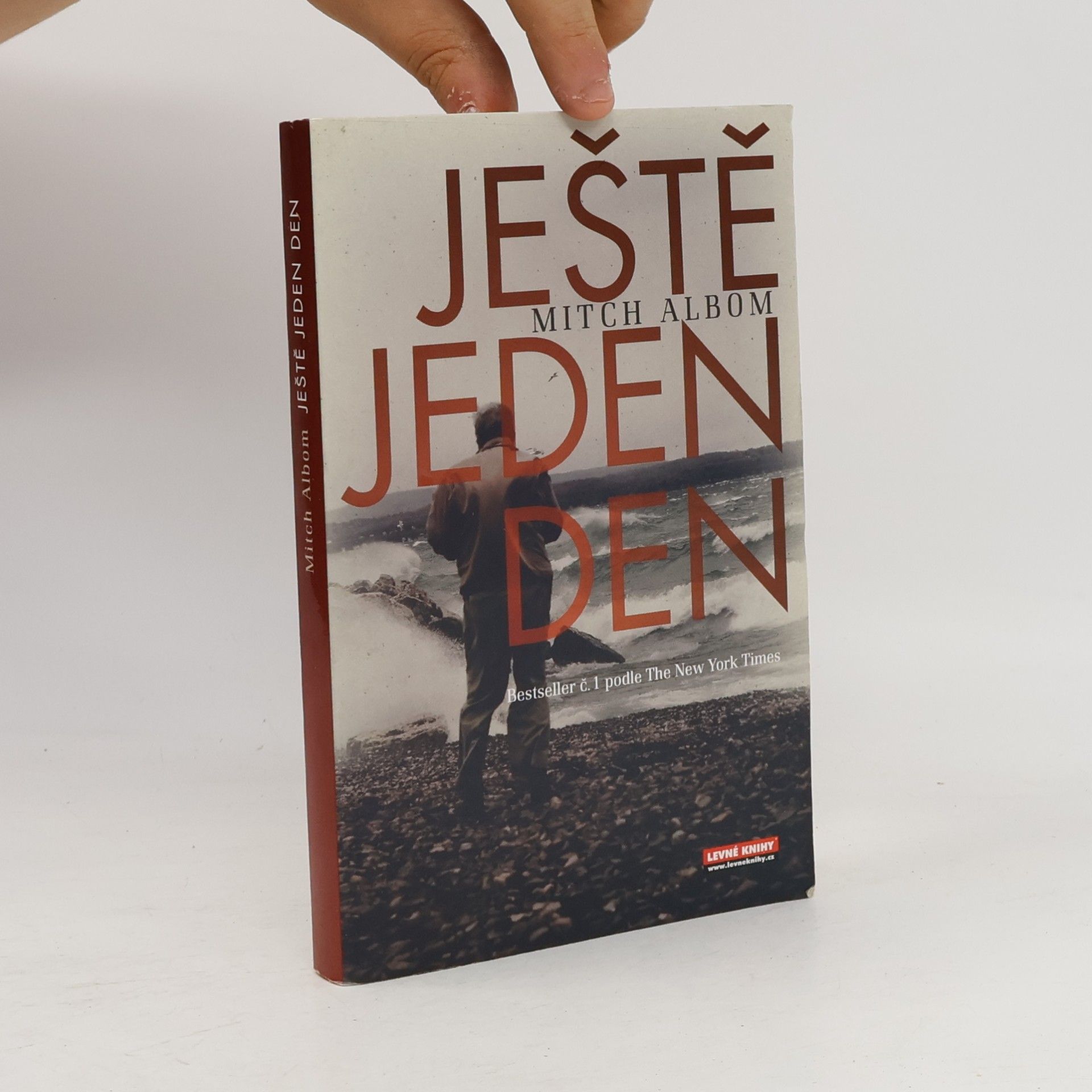Mitch Albom Ještě jeden den