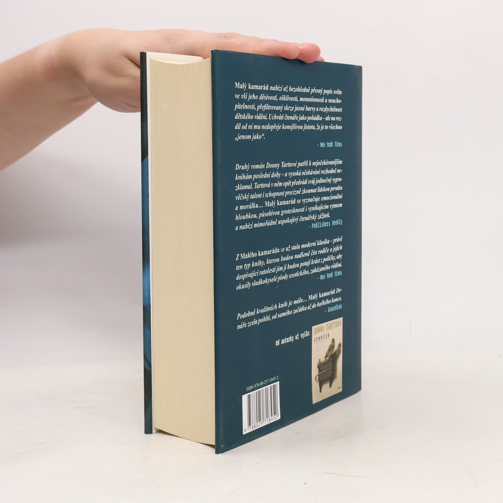 Donna Tartt Malý kamarád