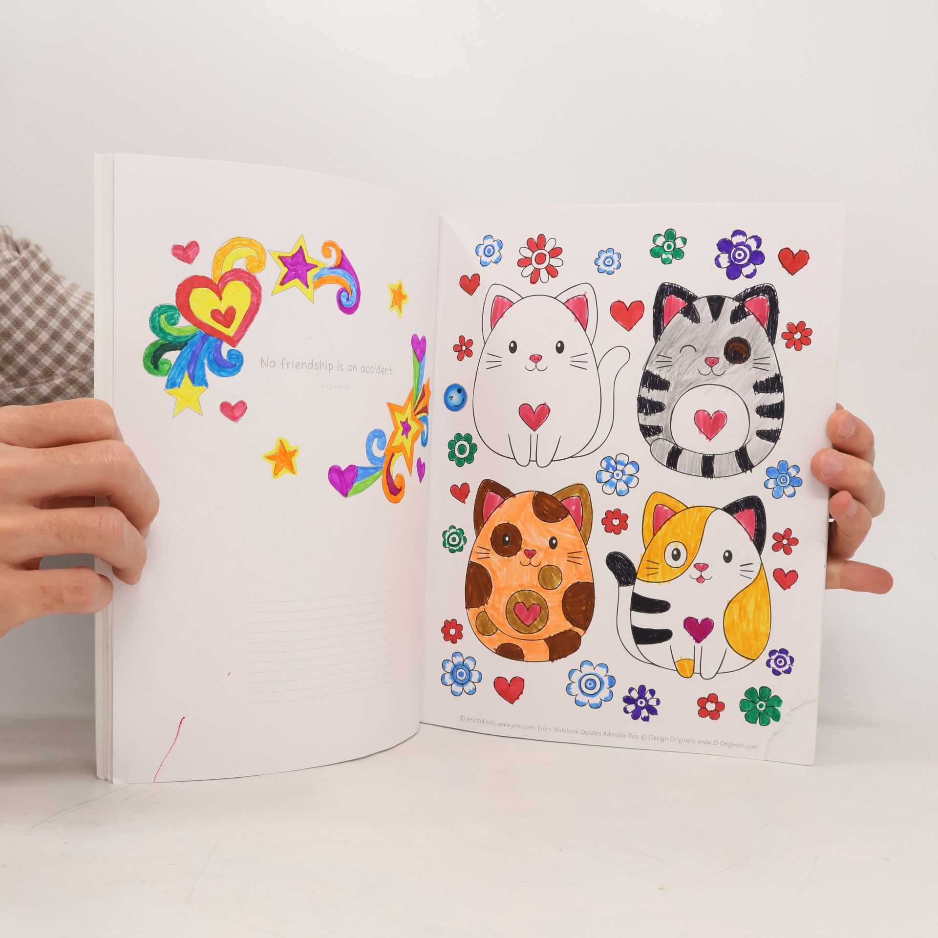 Jess Volinski Notebook Doodles Adorable Pets
