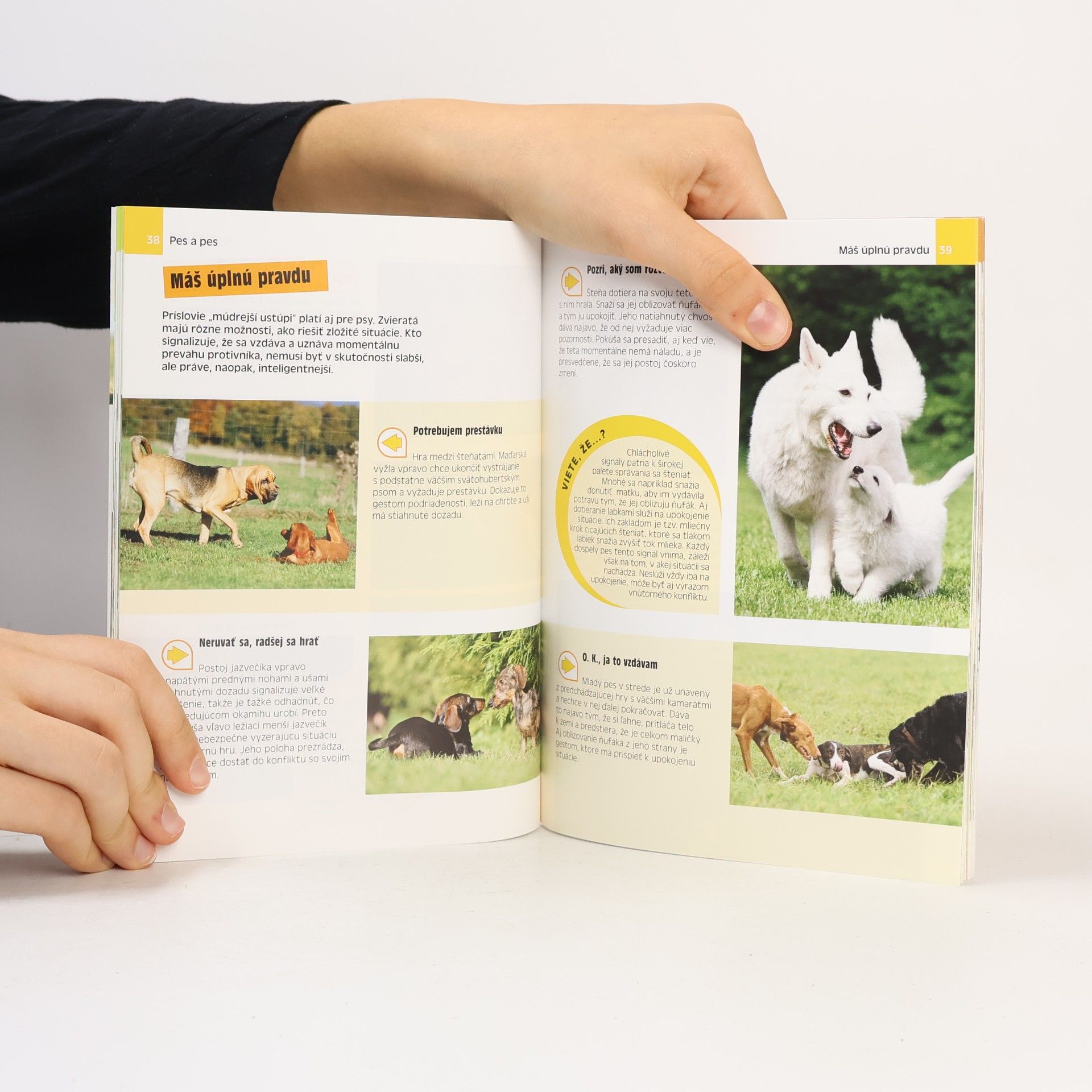 Heike Schmidt-Röger Čo si myslí pes