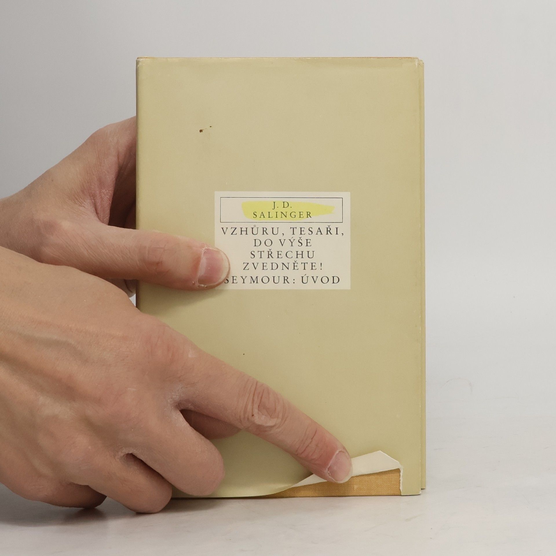 J. D. Salinger Vzhůru, tesaři, do výše střechu zvedněte! Seymour: Úvod