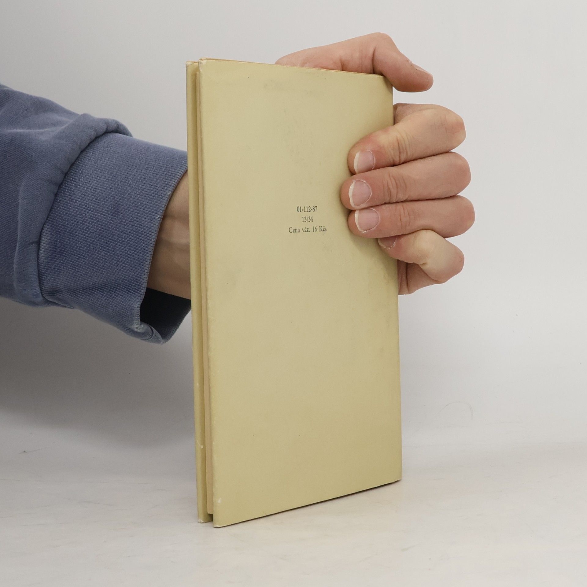 J. D. Salinger Vzhůru, tesaři, do výše střechu zvedněte! Seymour: Úvod