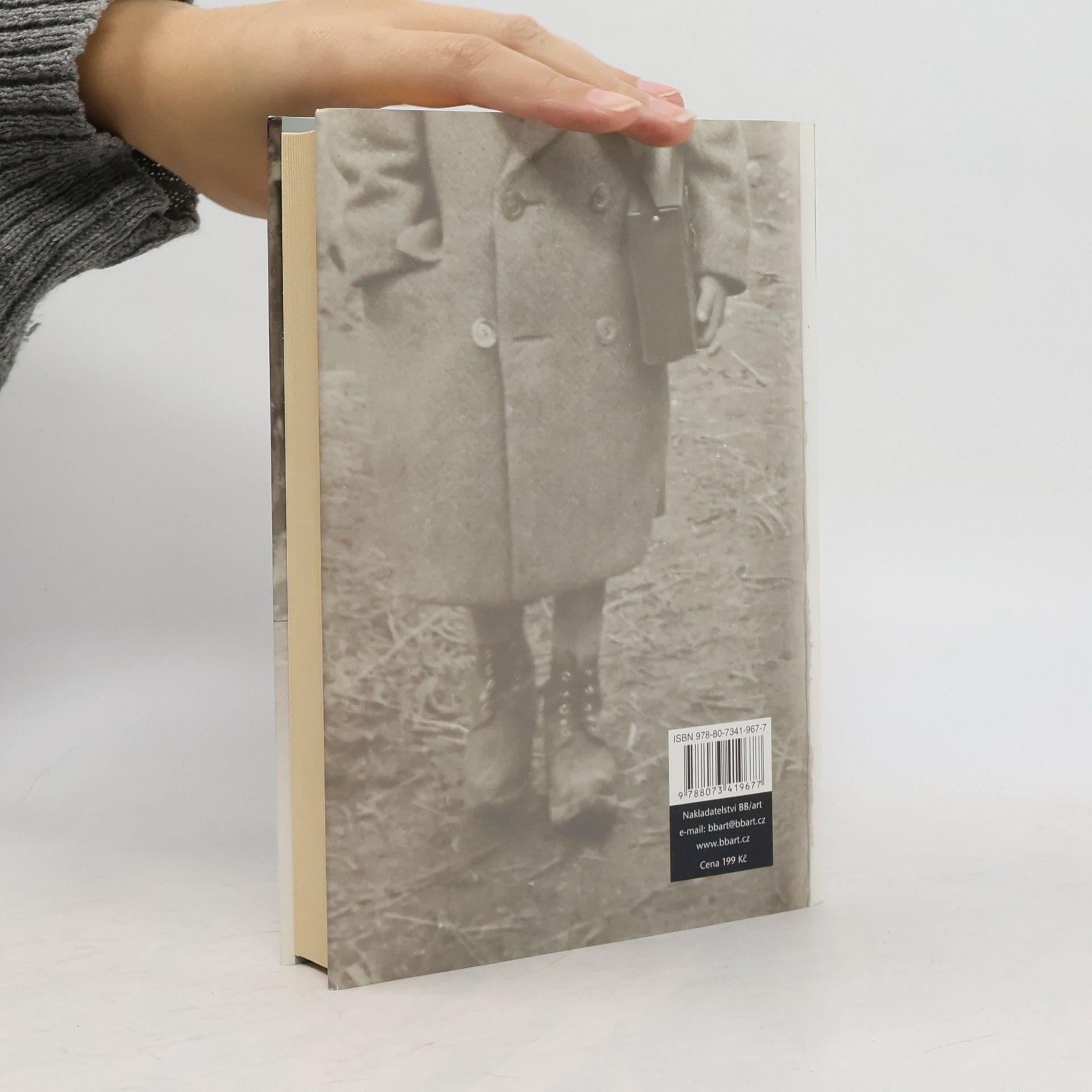 Sebastian Faulks Abeceda bláznů