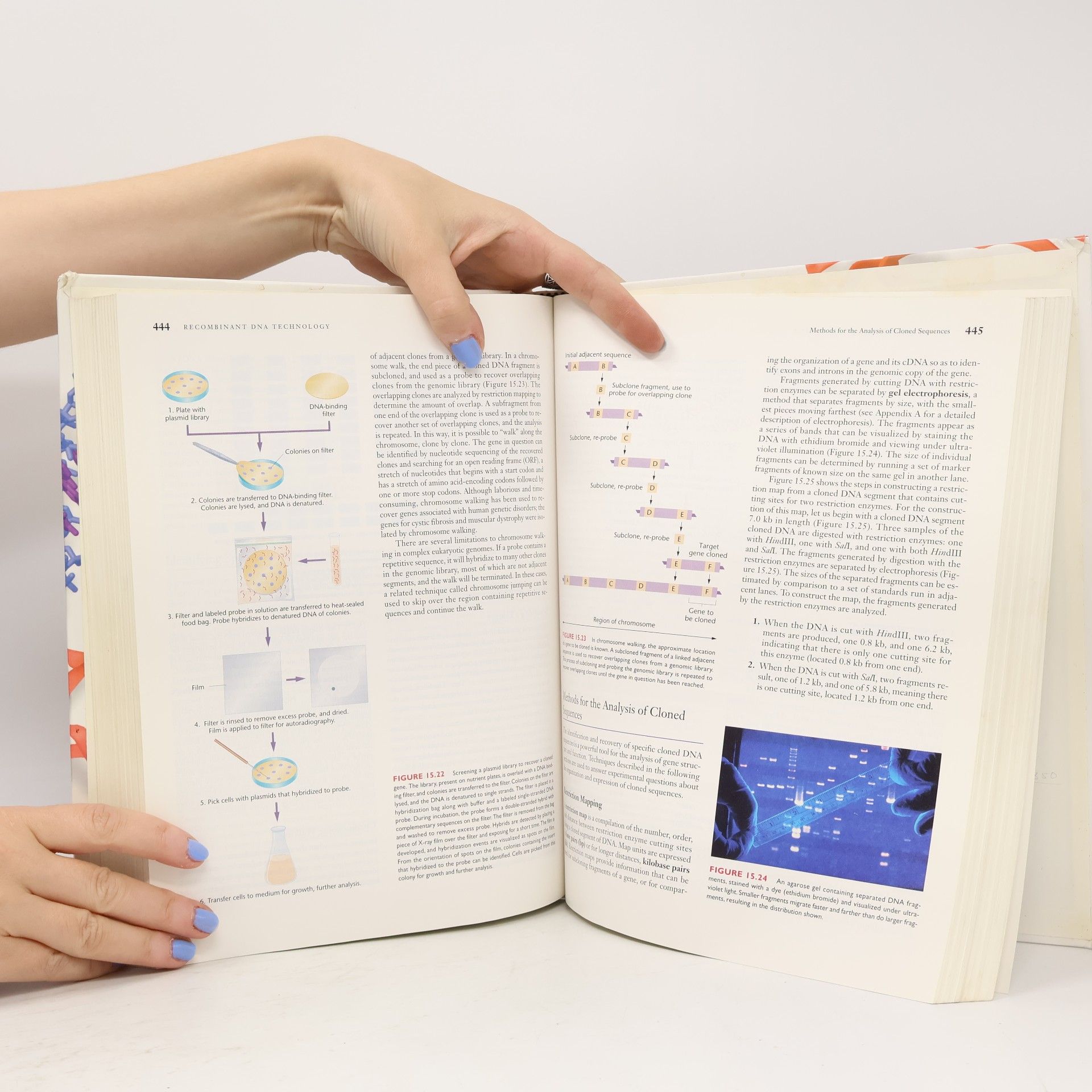 William S. Klug Concepts of Genetics
