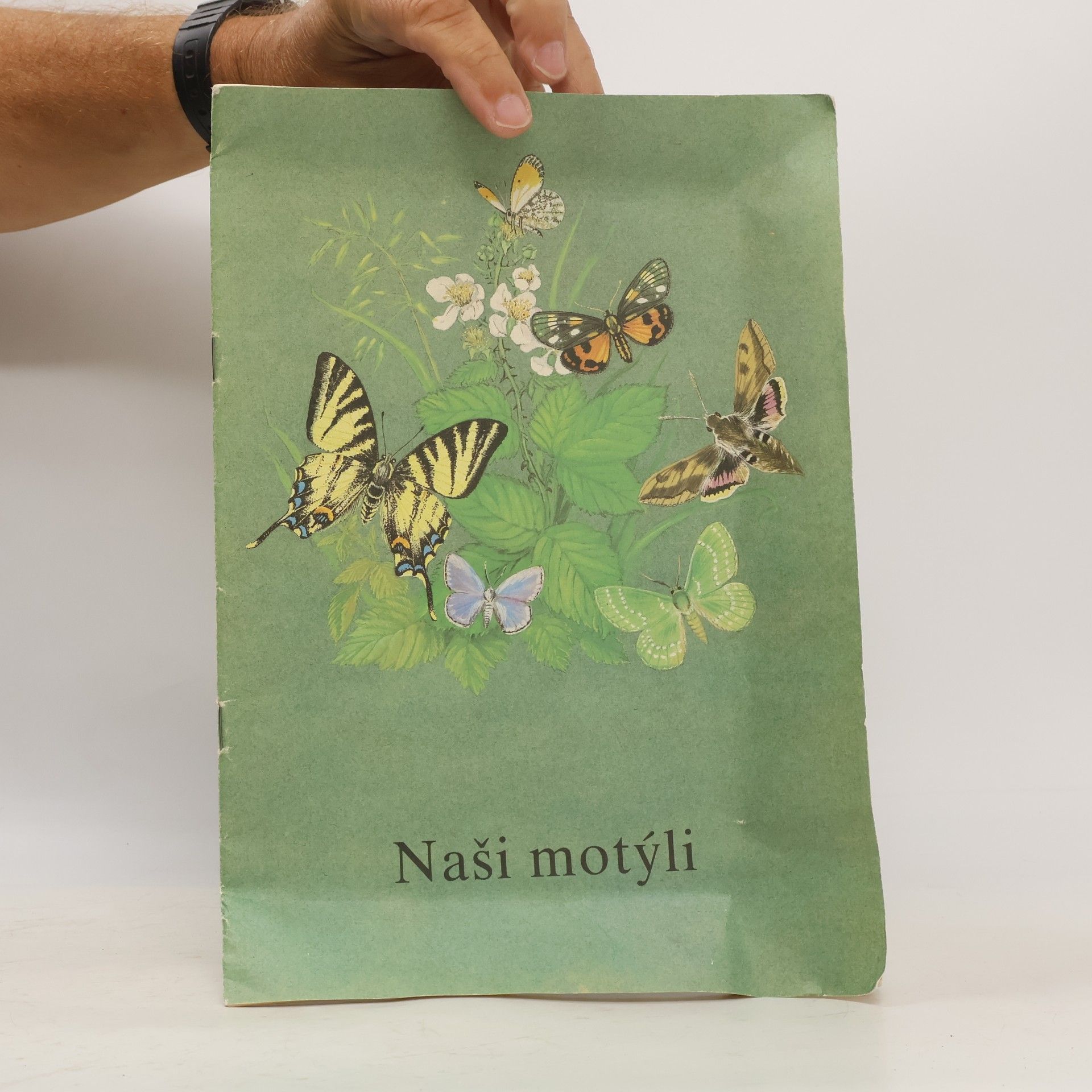 Various authors Naši motýli