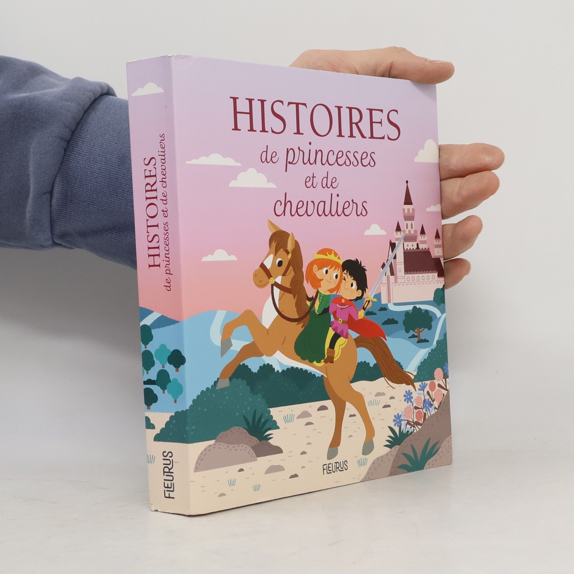 Histoires de princesses et de chevaliers