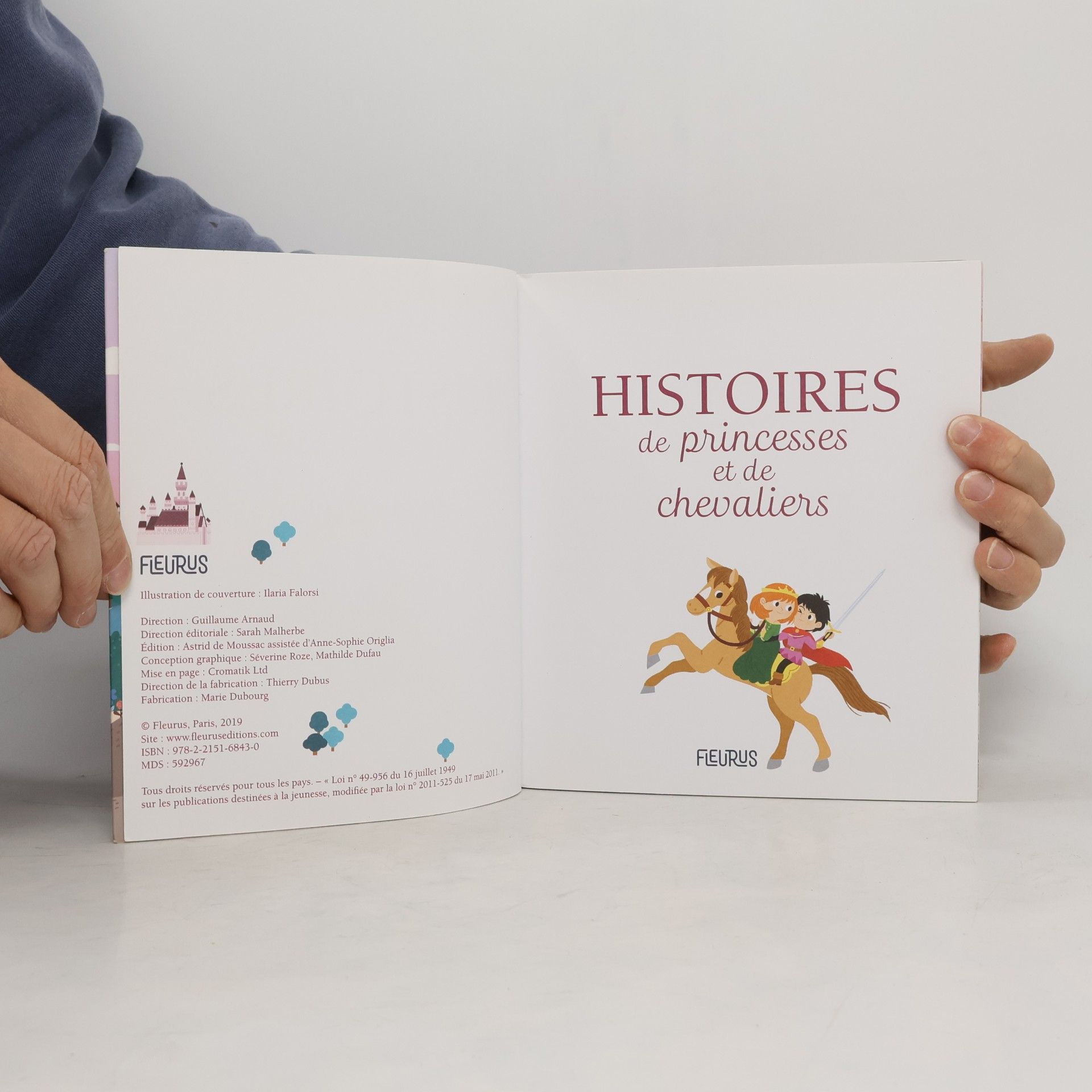 Nicolas Lépine Histoires de princesses et de chevaliers