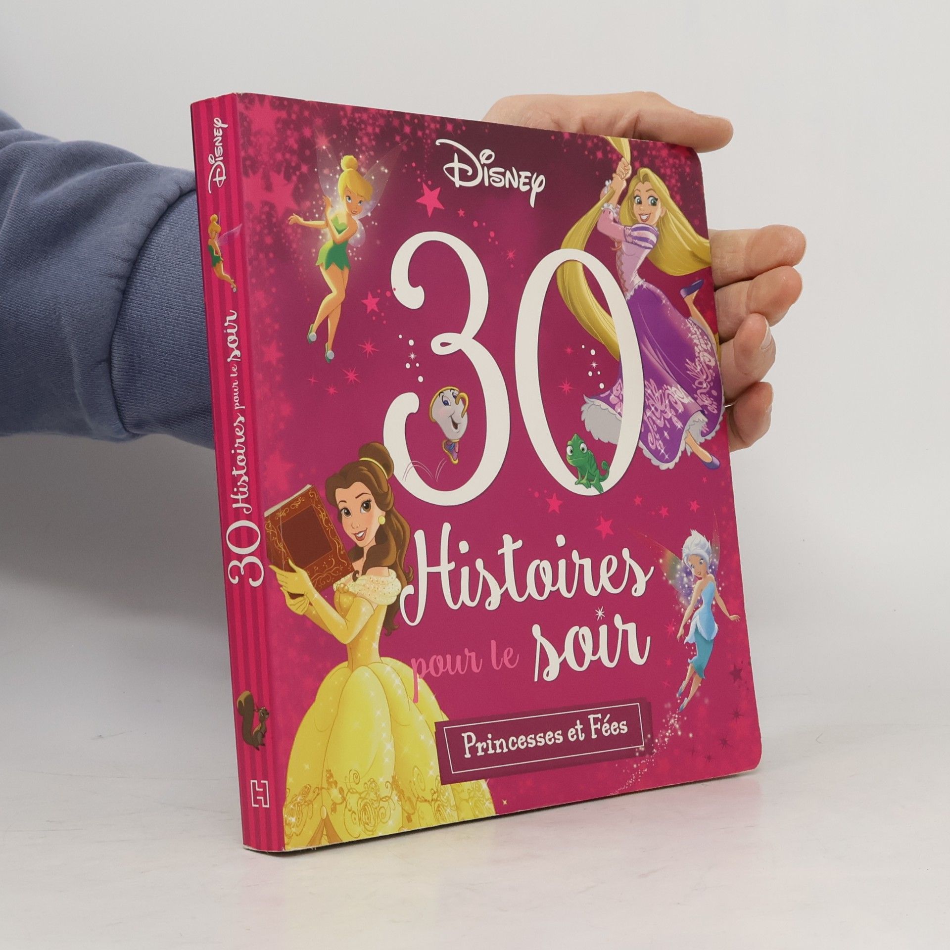 Emmanuelle Radiguer Disney Princesses: 30 histoires pour le soir