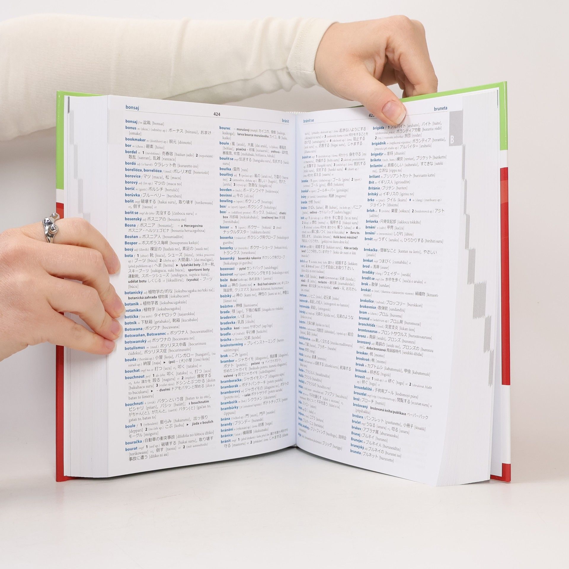 Various authors Japonsko-český / česko-japonský velký slovník