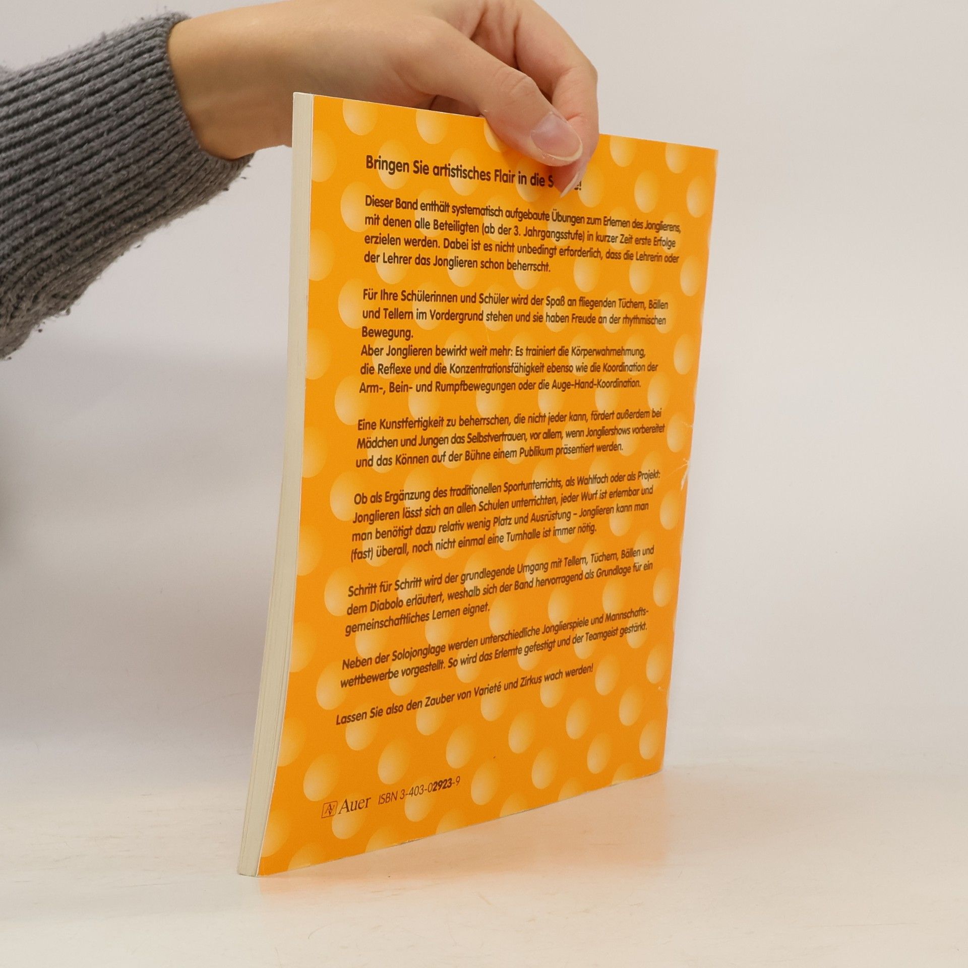 Matthias Ebert Jonglierbuch für Schulen