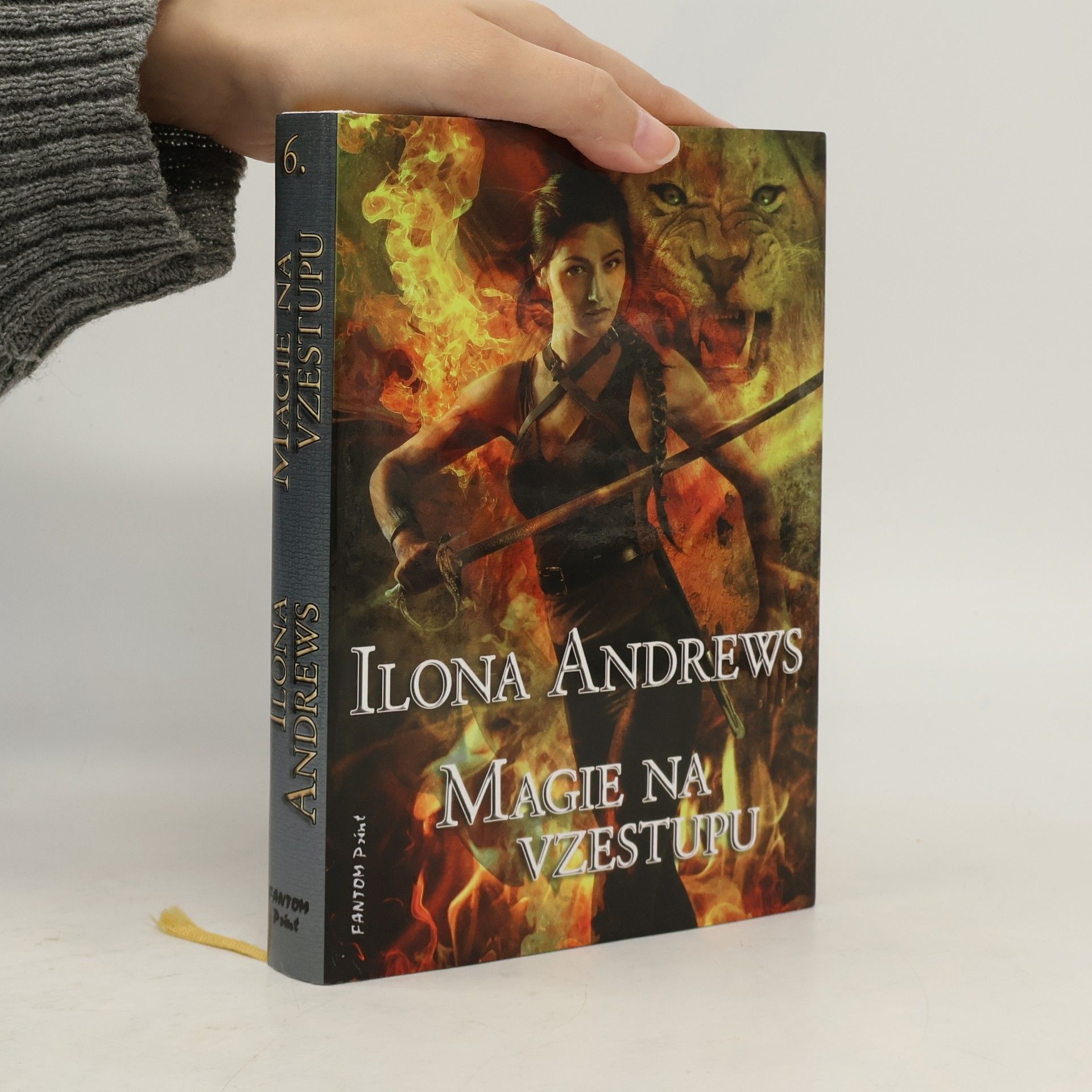 Ilona Andrews Magie na vzestupu