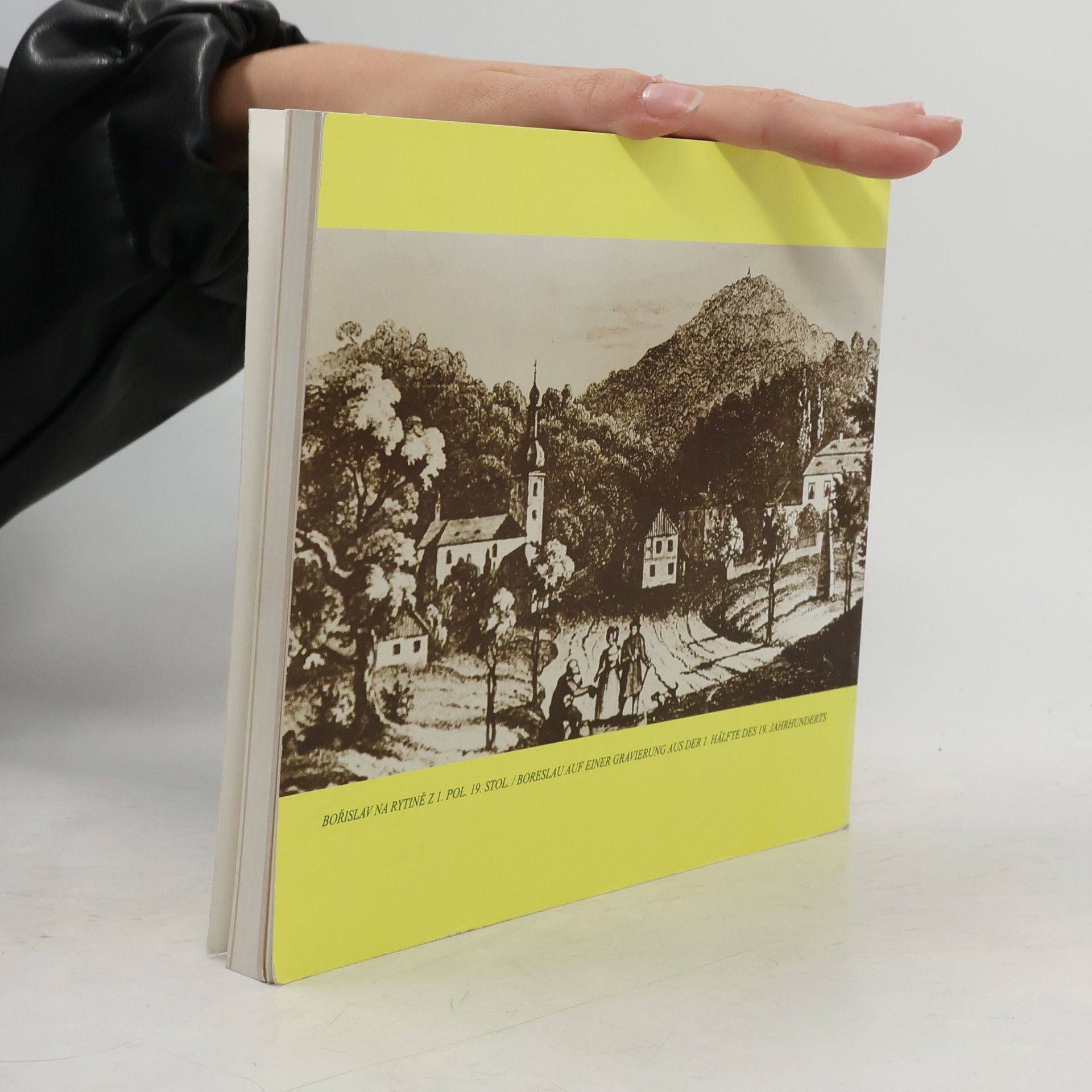Franz Sitte Na slunné straně Milešovky / An der Sonnenseite des Milleschauers