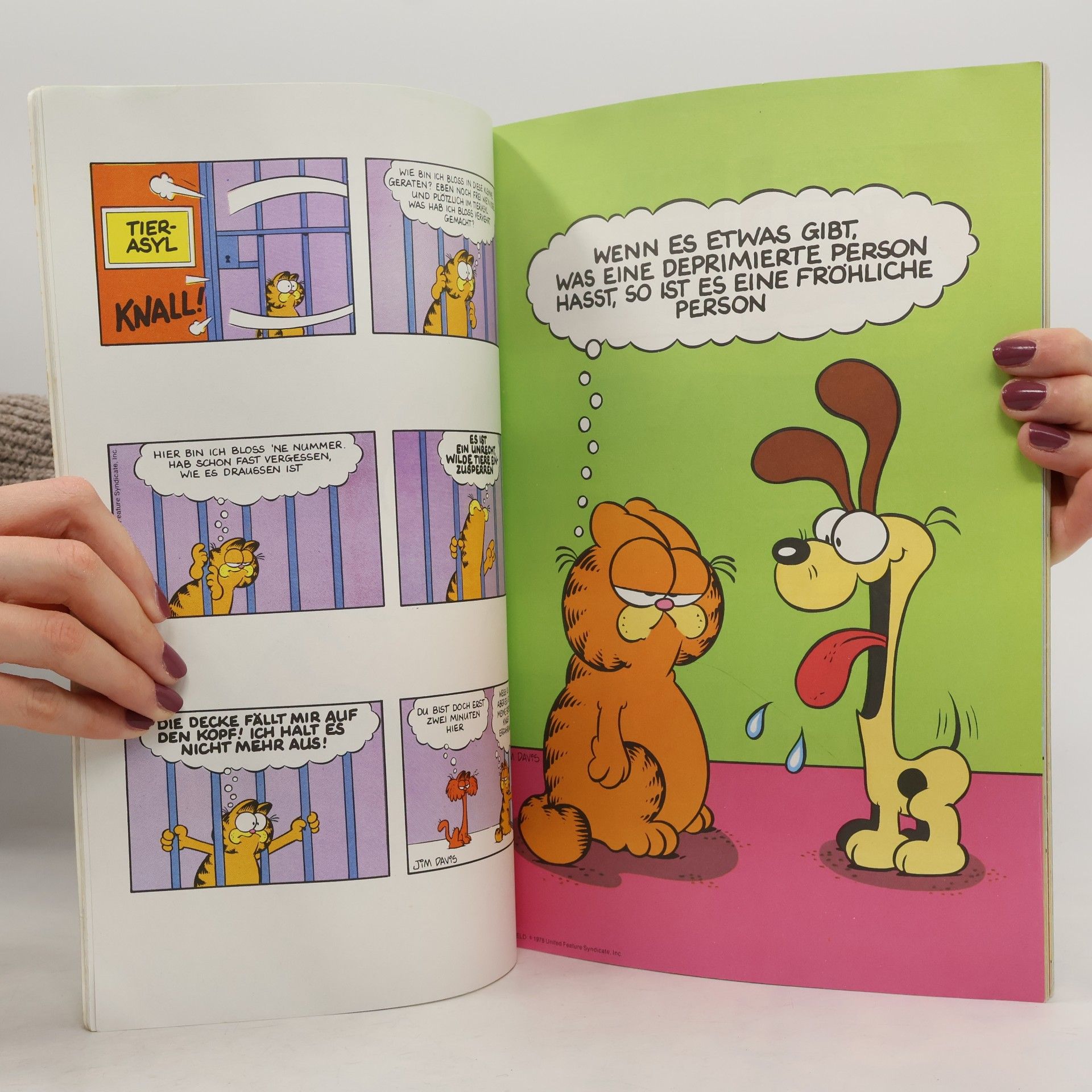 Jim Davis Die Garfield-Galerie 1. Katzen-Comics