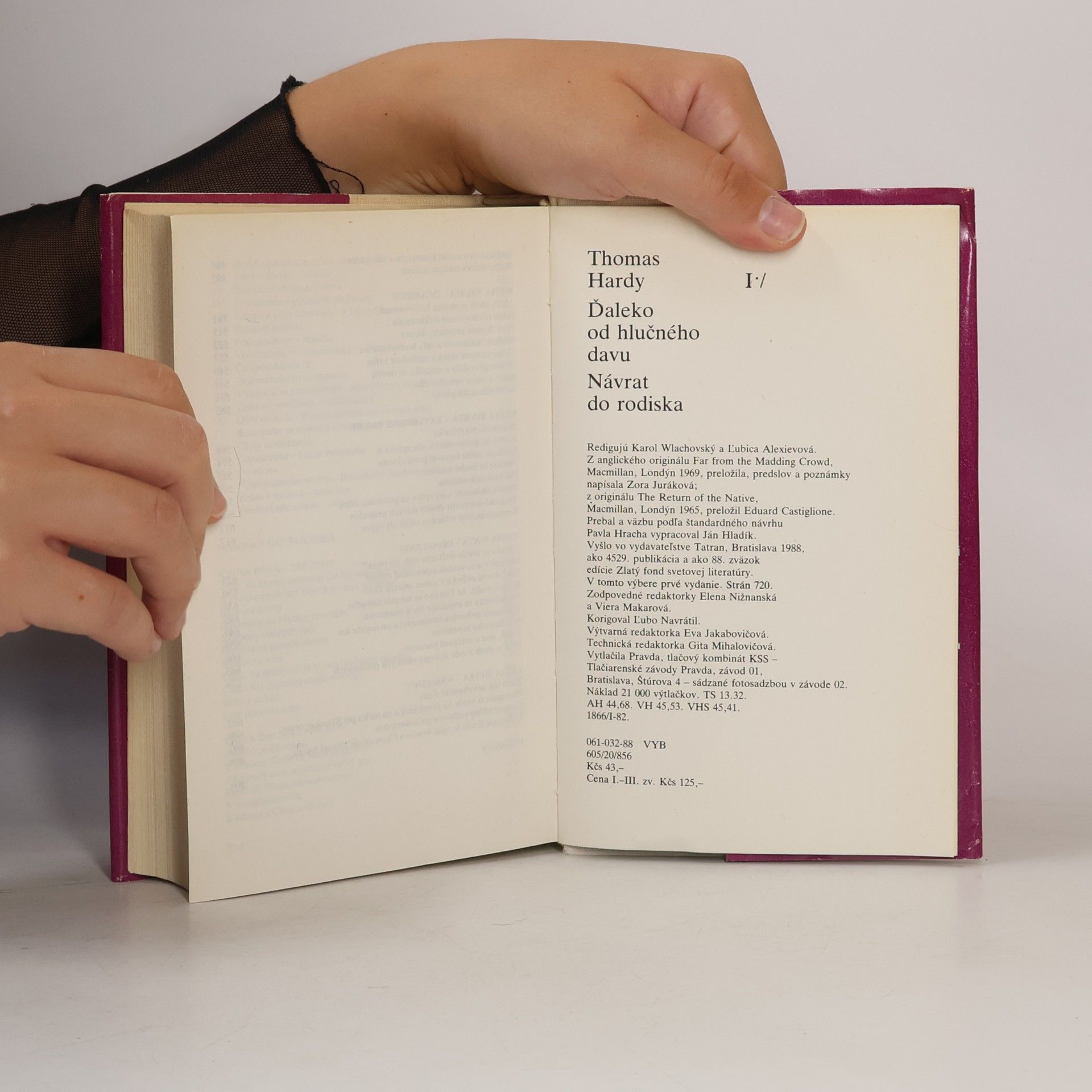 Thomas Hardy Ďaleko od hlučného davu. Návrat do rodiska