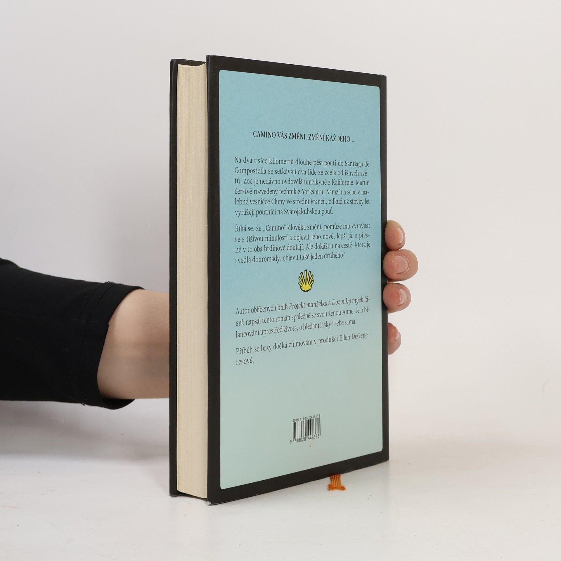 Graeme Simsion Pár kroků vpřed