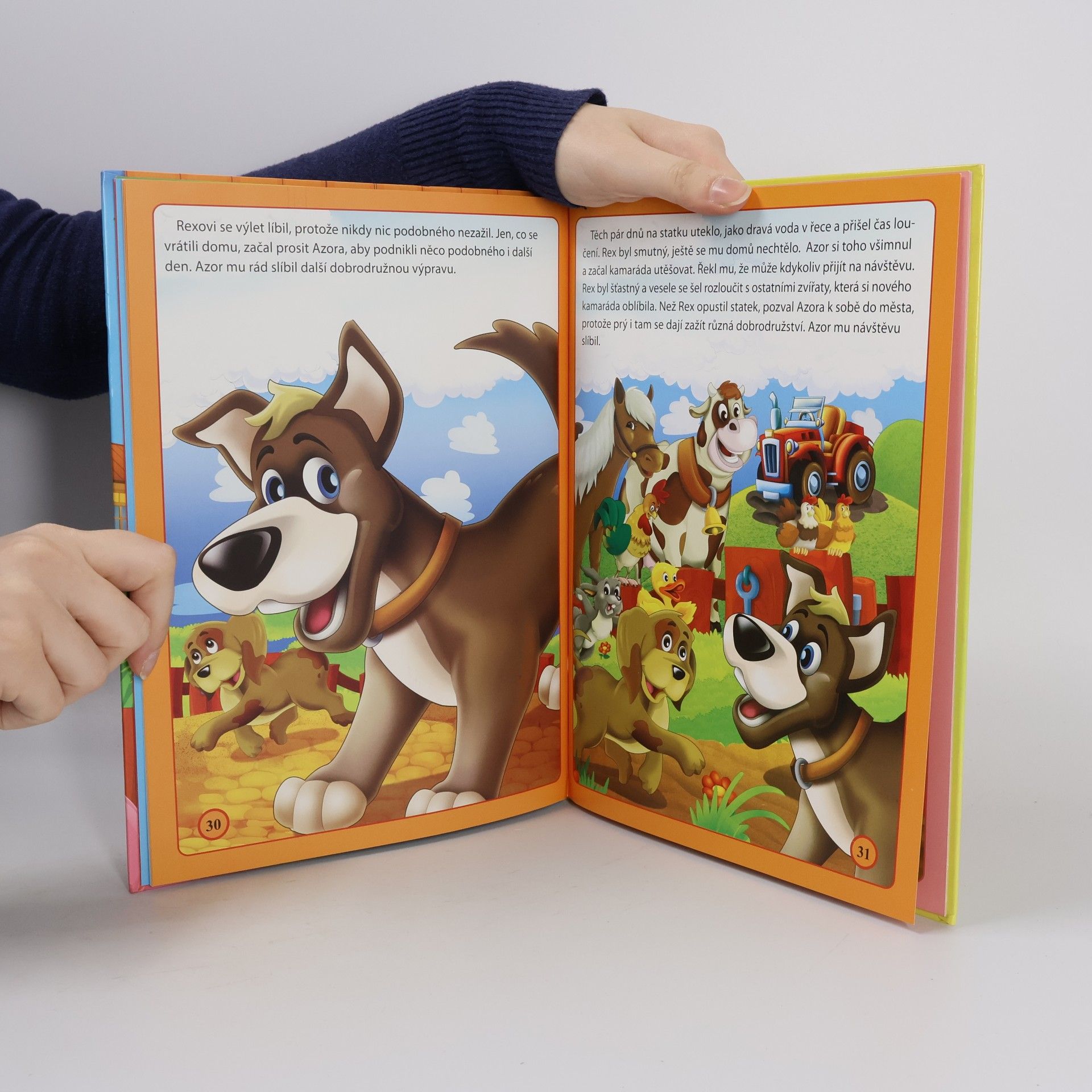 Autorenkollektiv Na venkovské farmě. Nové příhody