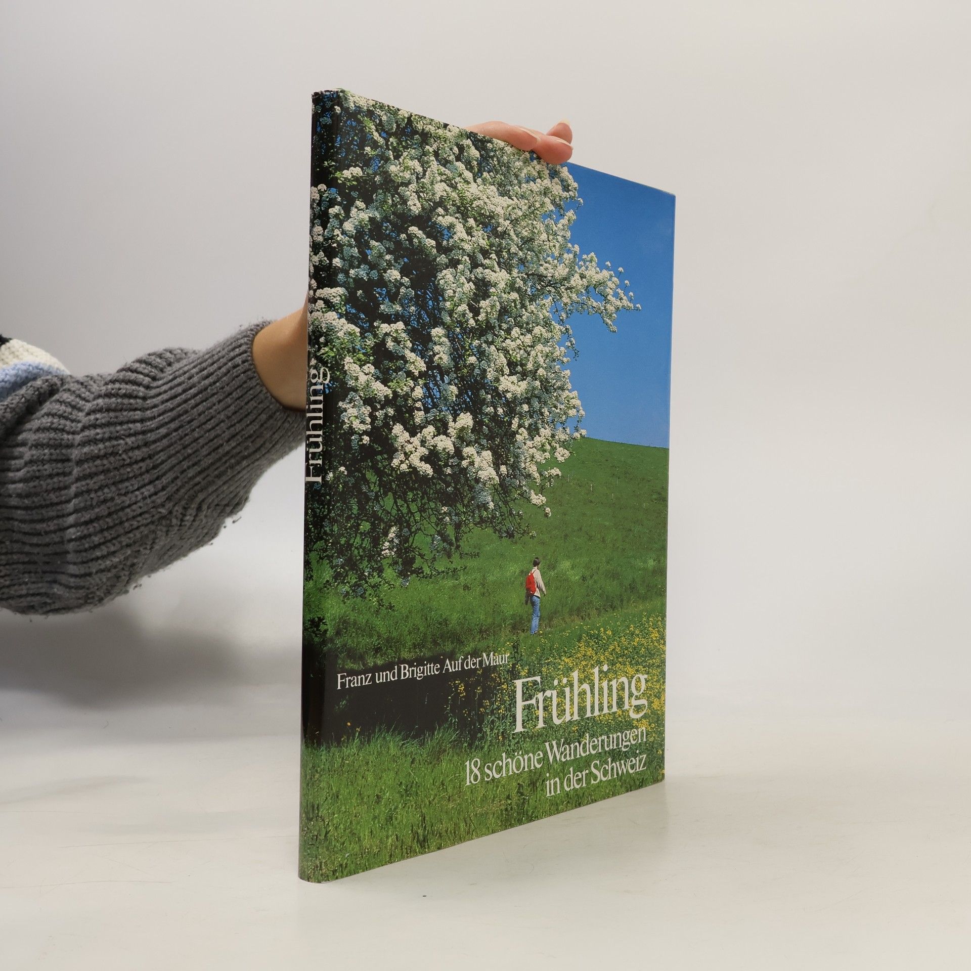 Franz Auf der Maur Frühling