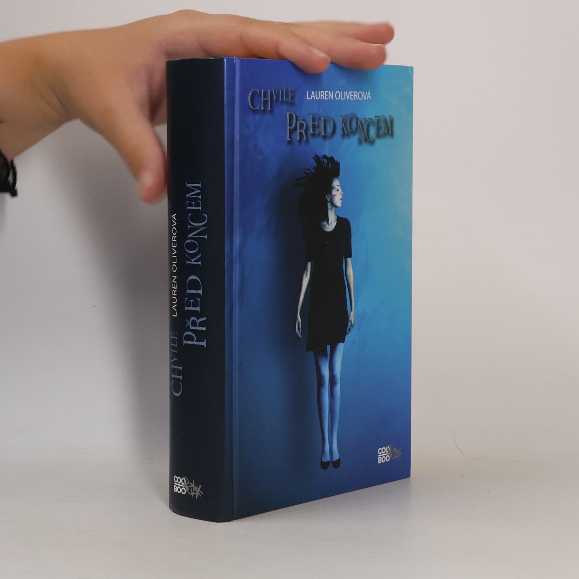 Lauren Oliver Chvíle před koncem