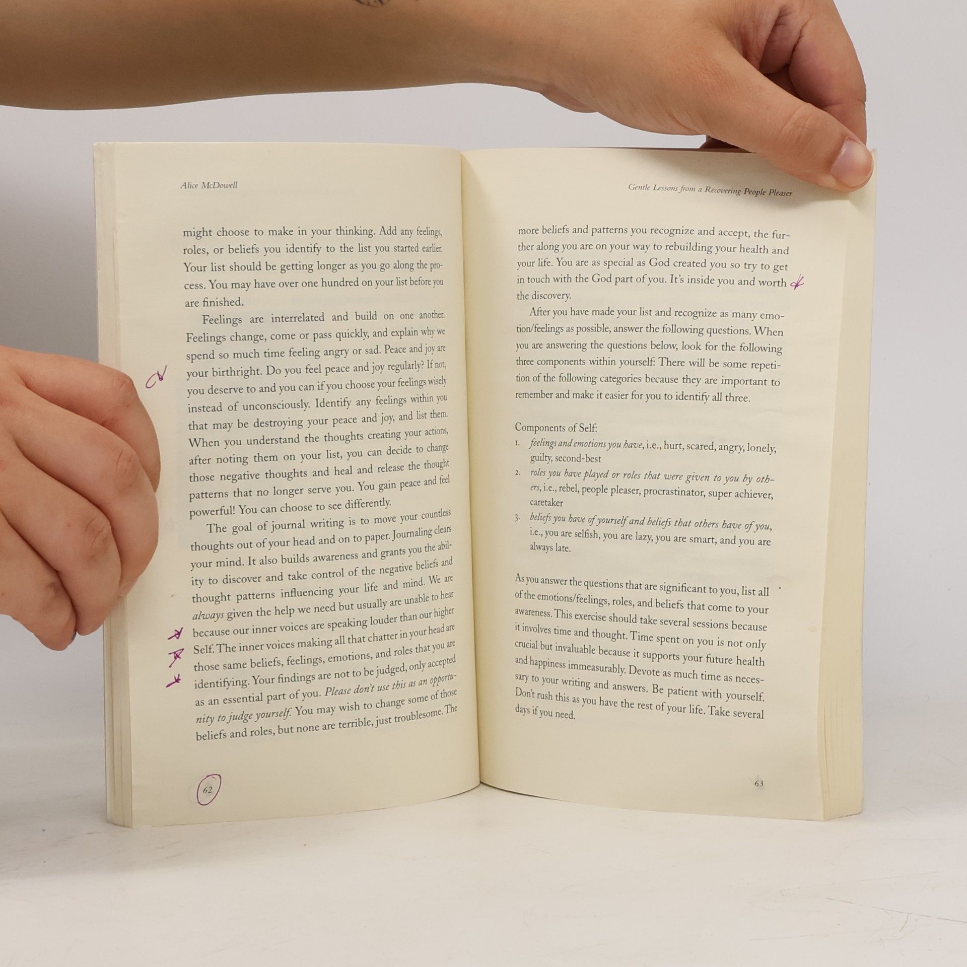 Alice McDowell Gentle Lessons from a Recovering People Pleaser