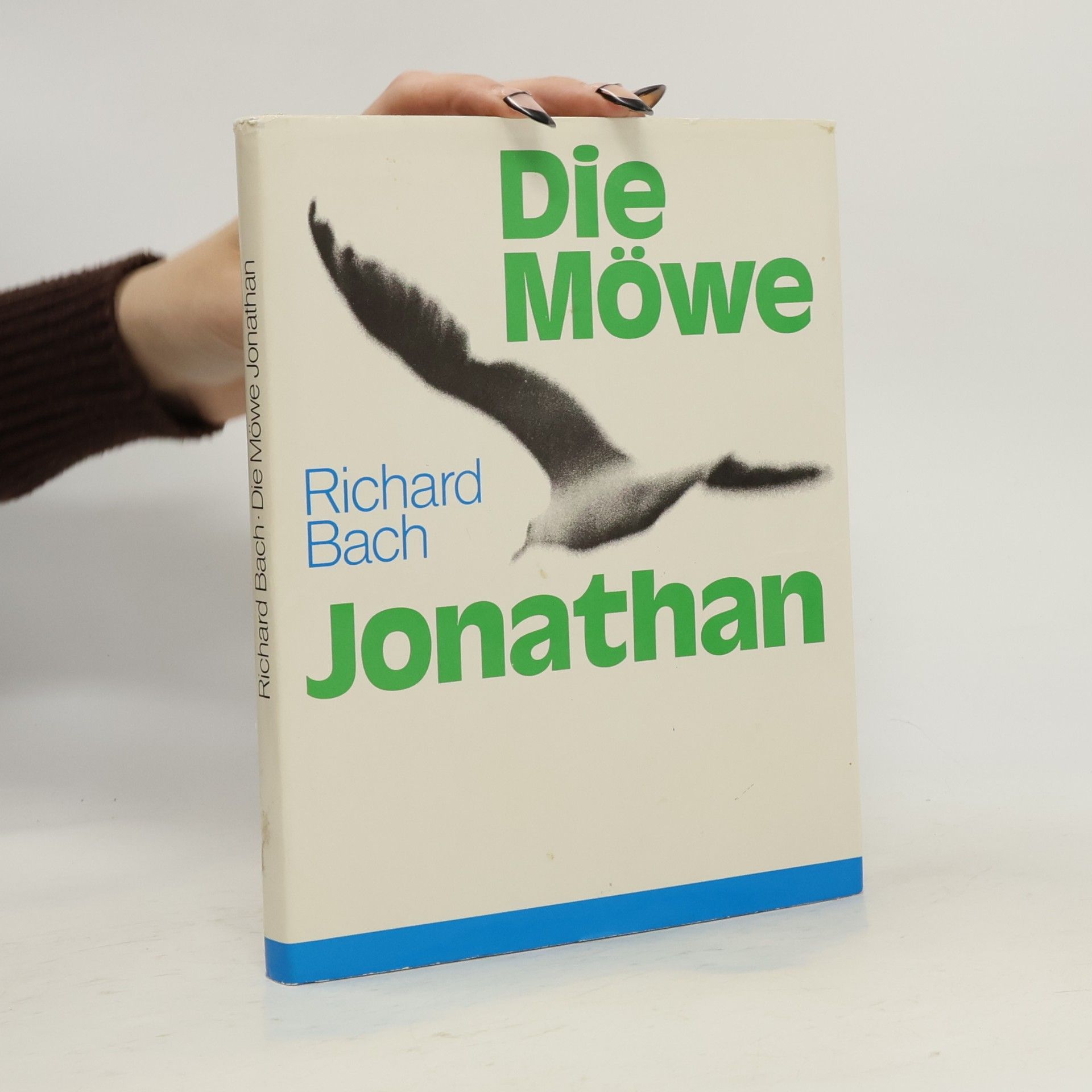 Die Möwe Jonathan