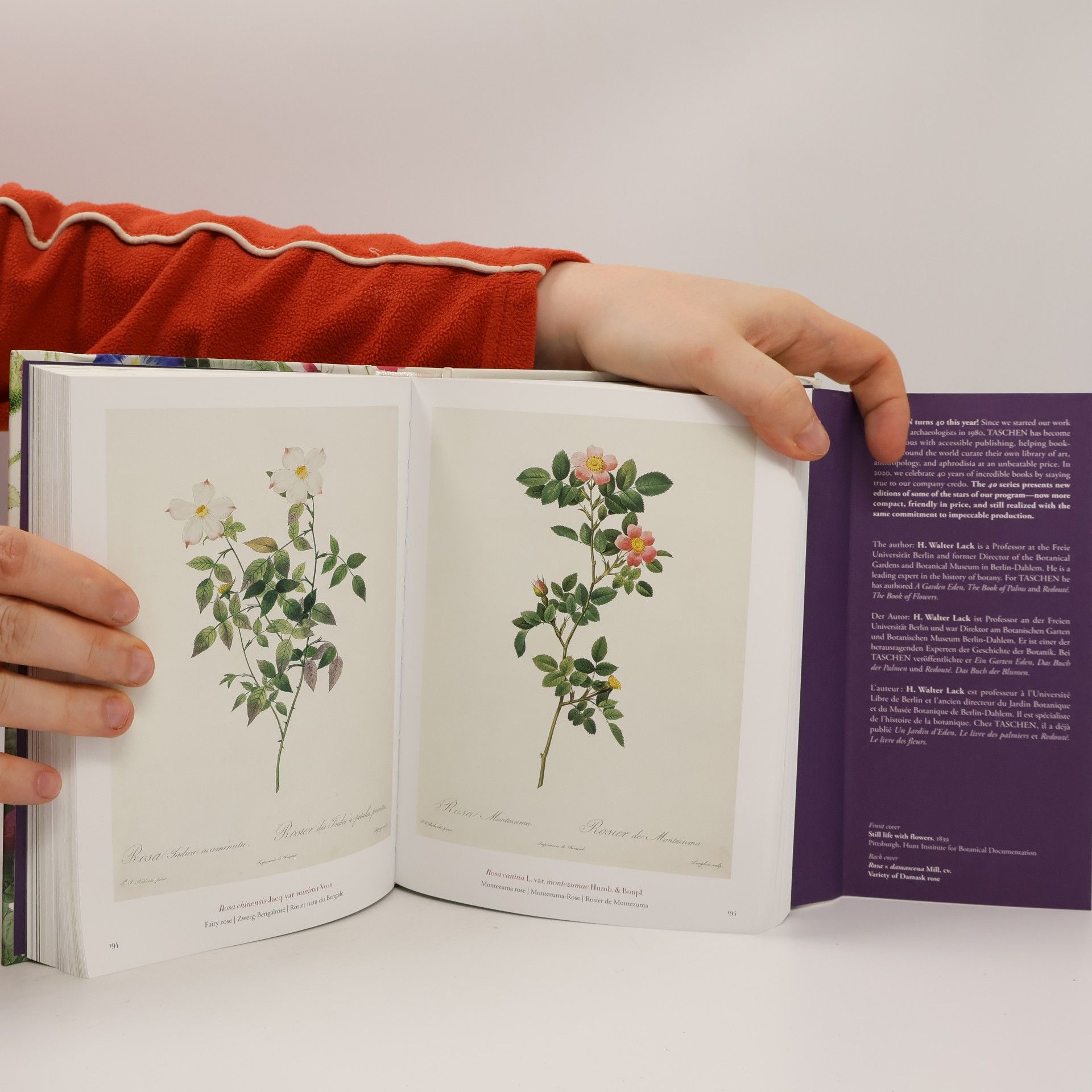 Pierre-Joseph Redouté The Book of Flowers