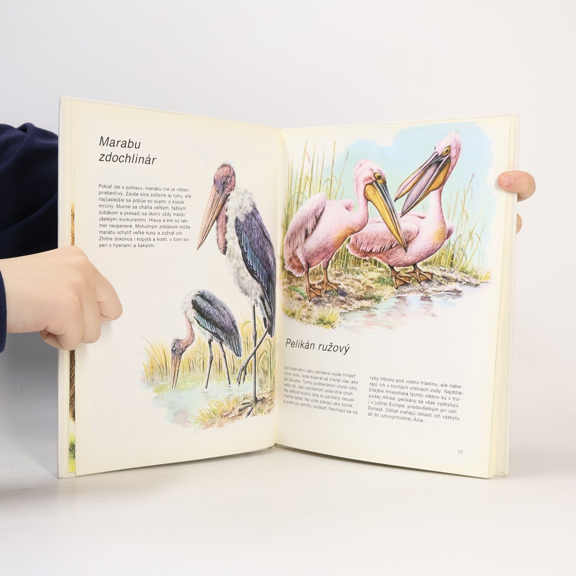 Ernst Waldemar Bauer Farebný atlas zvierat