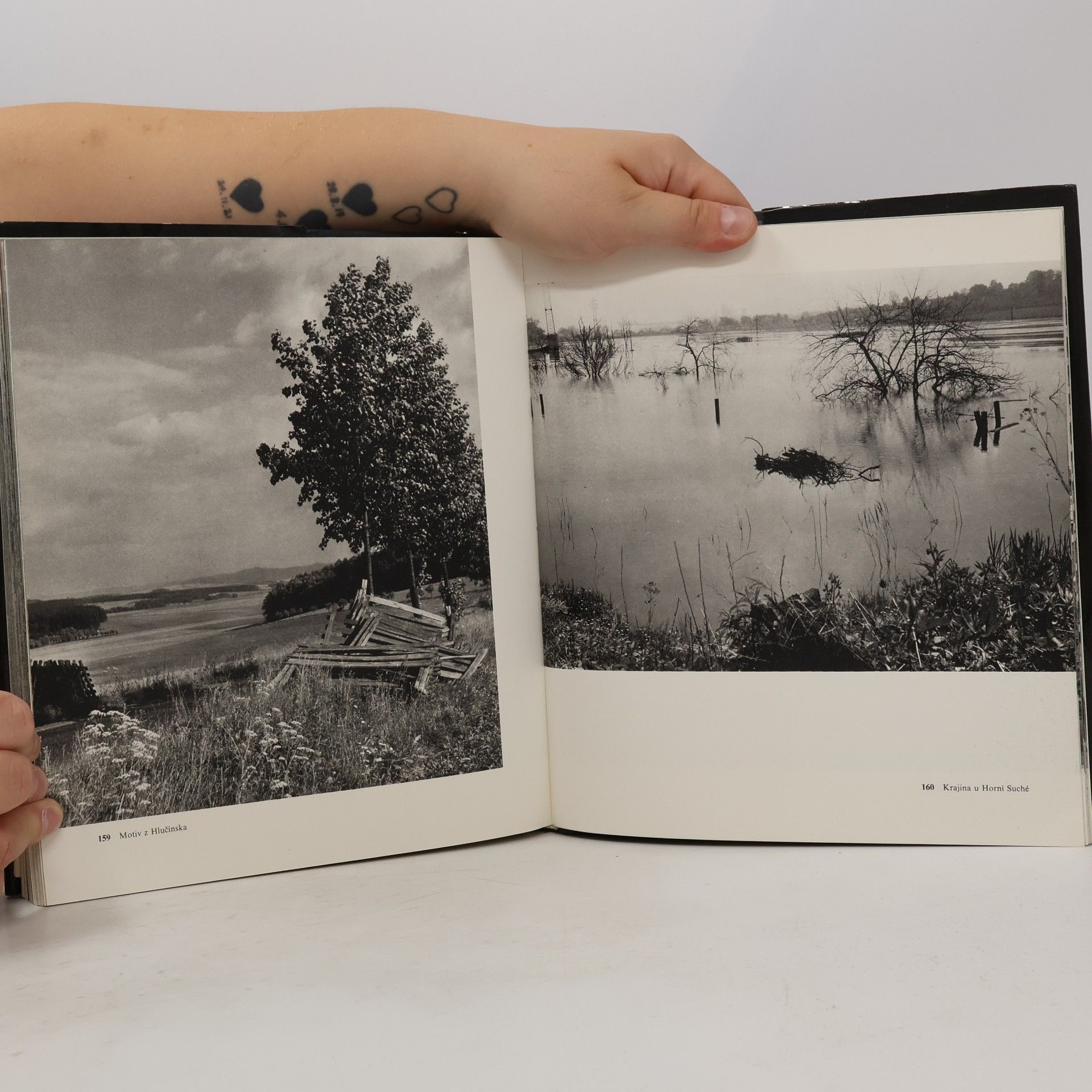 Antonín Gribovský Ostravsko ve fotografii