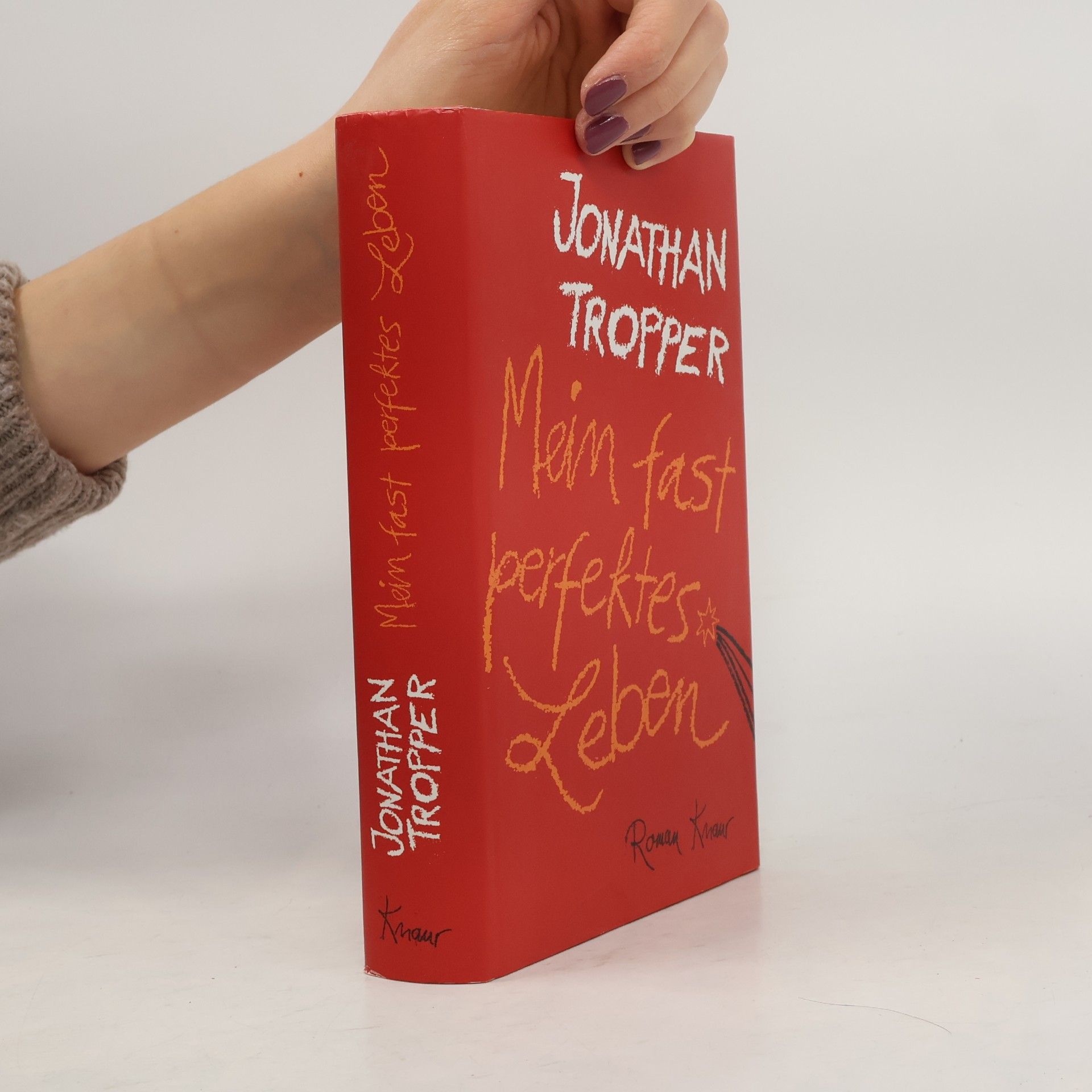Jonathan Tropper Mein fast perfektes Leben
