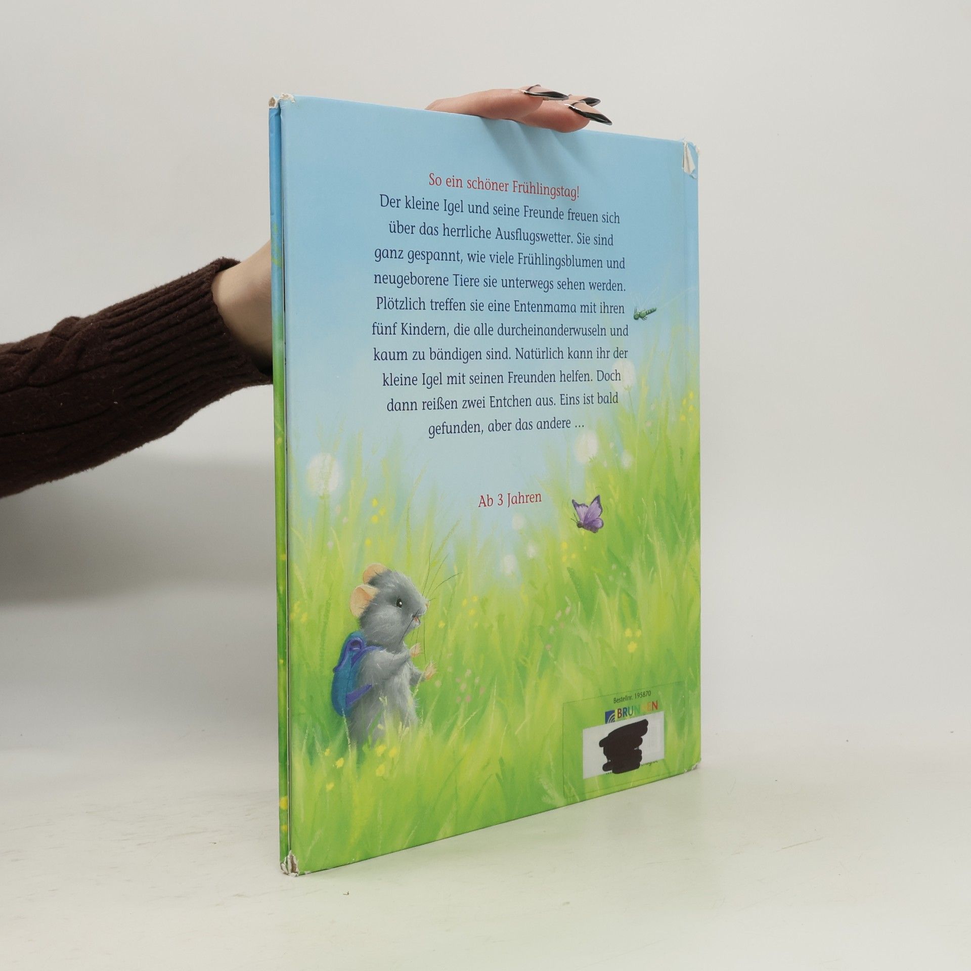 Christina M. Butler Der kleine Igel und das verlorene Entchen