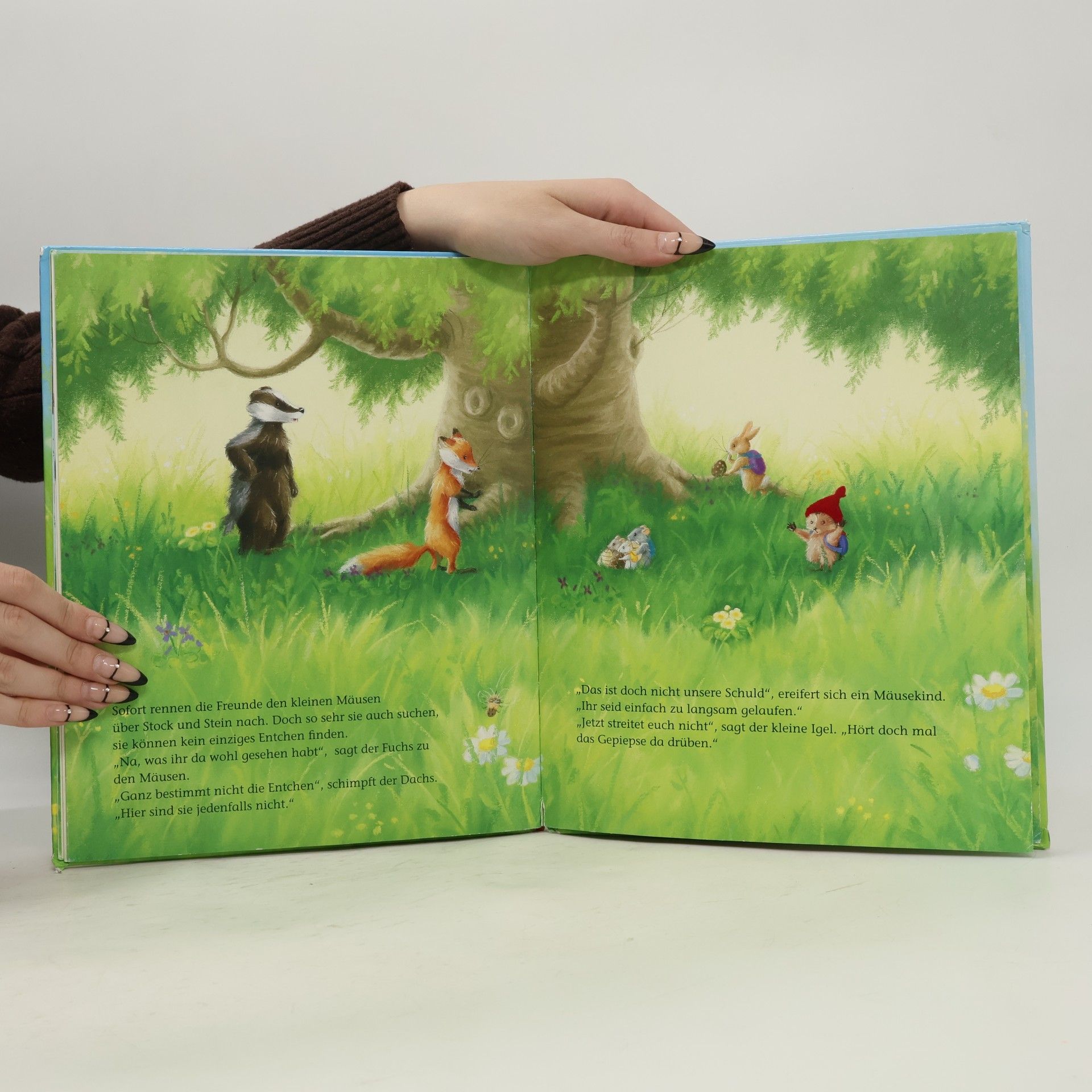 Christina M. Butler Der kleine Igel und das verlorene Entchen