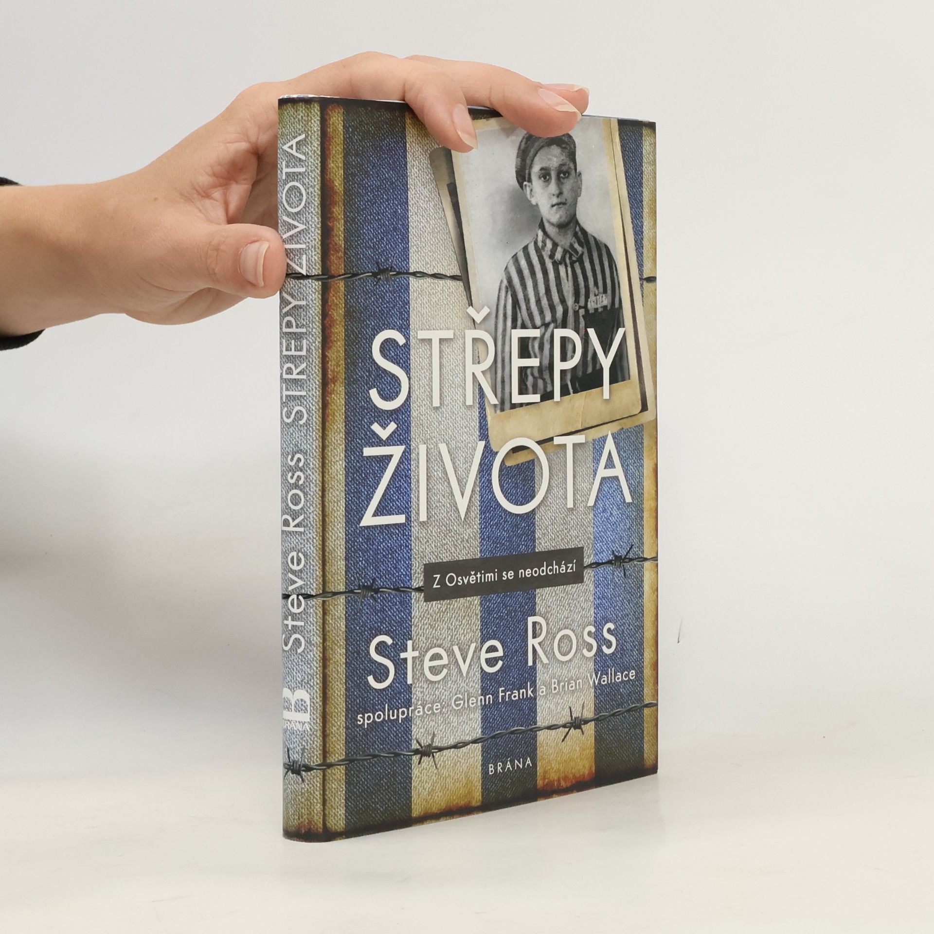 Brian Wallace Střepy života